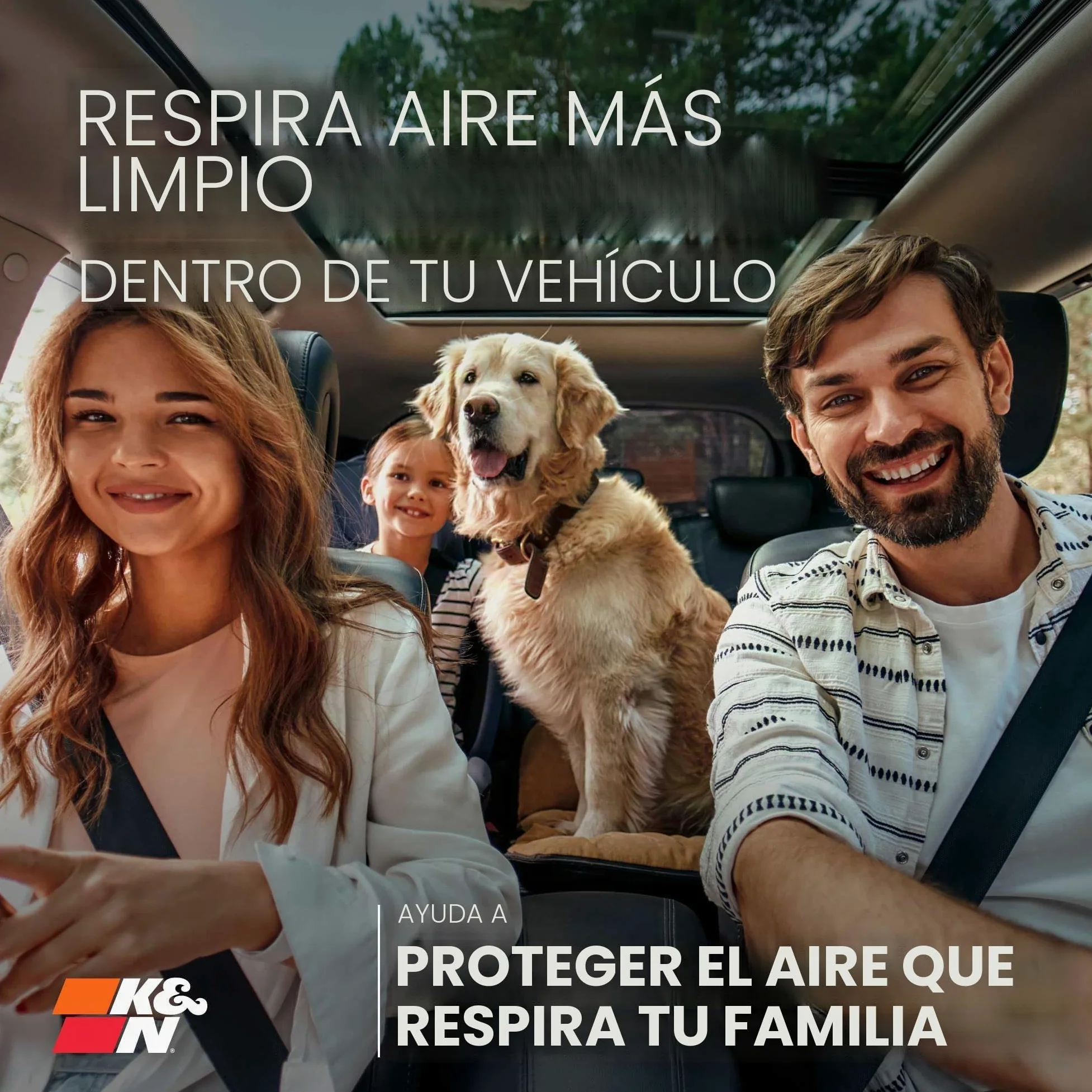 Filtro de habitáculo Premium Protect