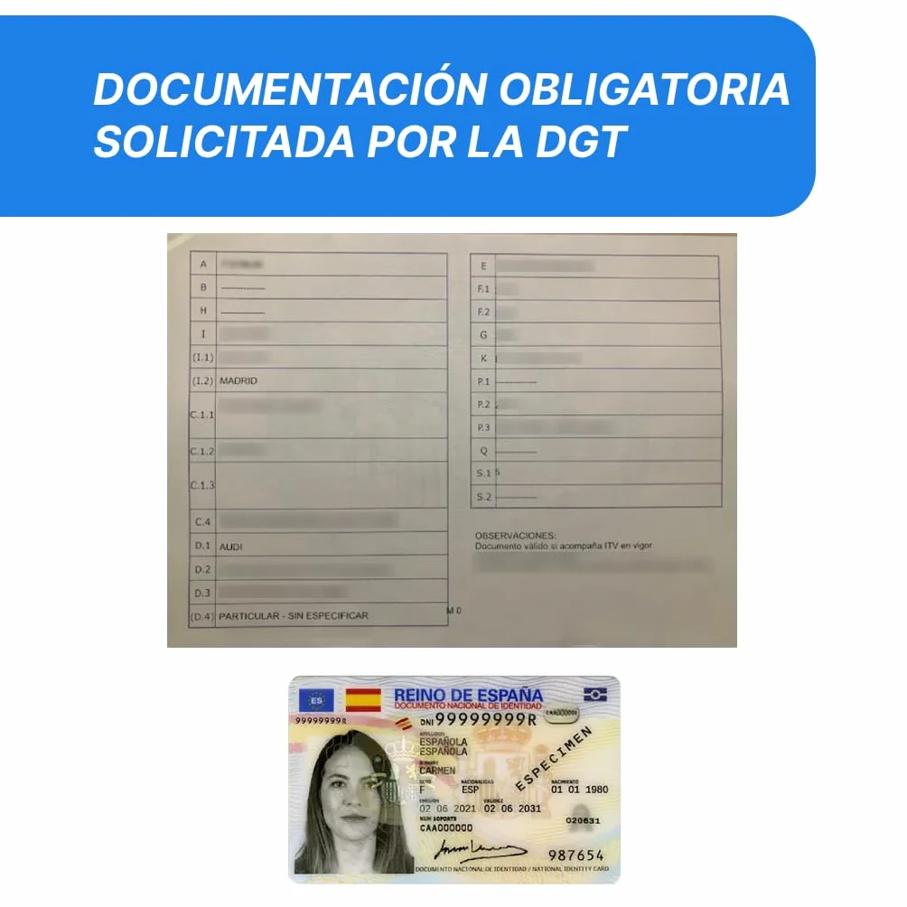 Matrícula Acrílica Homologada 52x11 CM | Matrícula de Coche Universal Europea | Material Resistente y Elegante | Fácil y Rápida Instalación (Pack 2 Unidades)