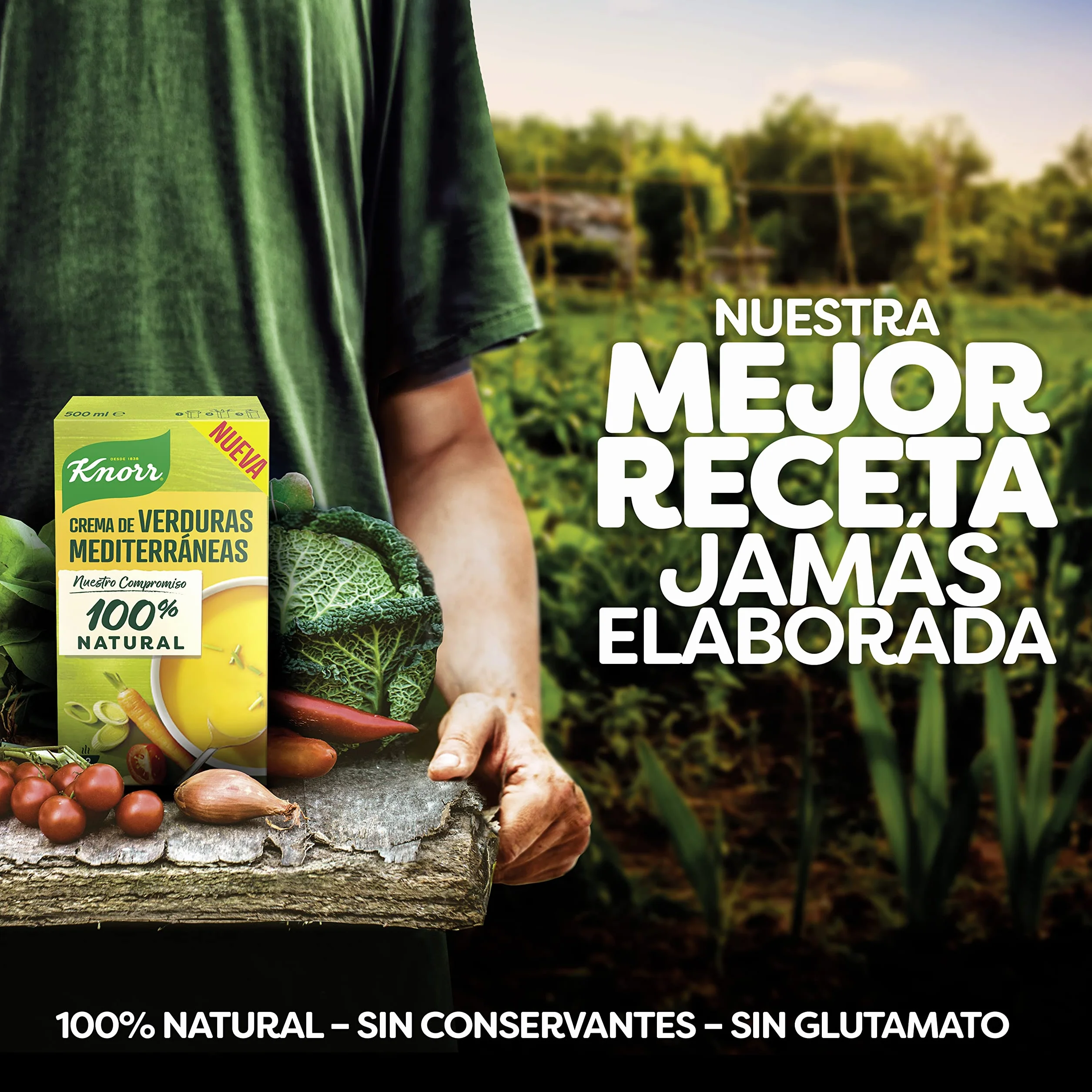 Knorr Crema de Verduras Mediterraneas 500ml
