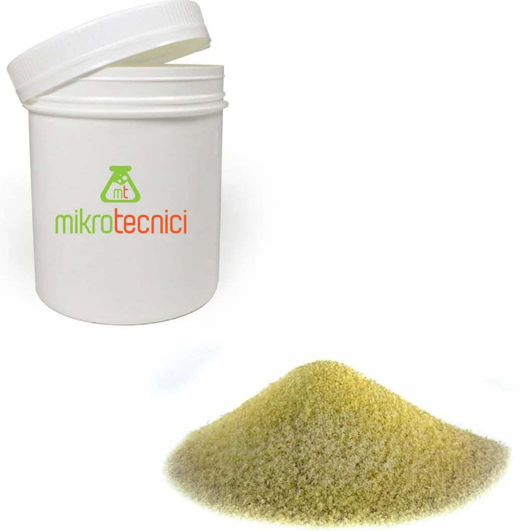 Bongiovanni Bontà Naturali Gluten de Trigo Alta Extensibilidad 500 g