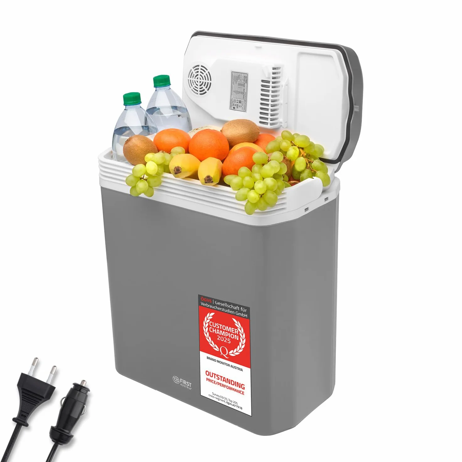 TZS First Austria - Nevera portátil 24L eléctrica 12V 230V enchufe para coche y estándar - Frigorífico termoeléctrico enfría y calienta - Coolbox con asa - Para camping, festivales, viajes - Gris