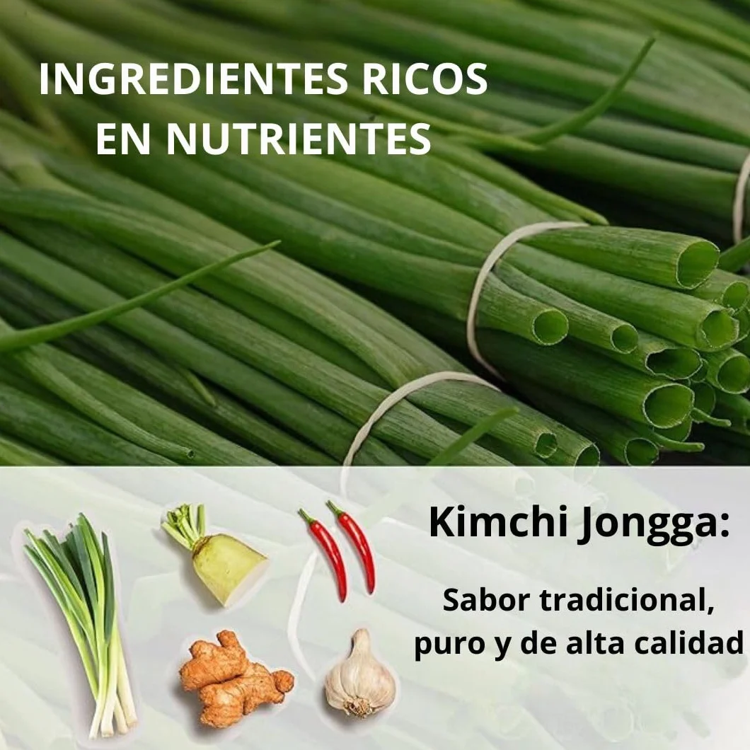 Jongga Kimchi Fresco De Rábano Picante 500g