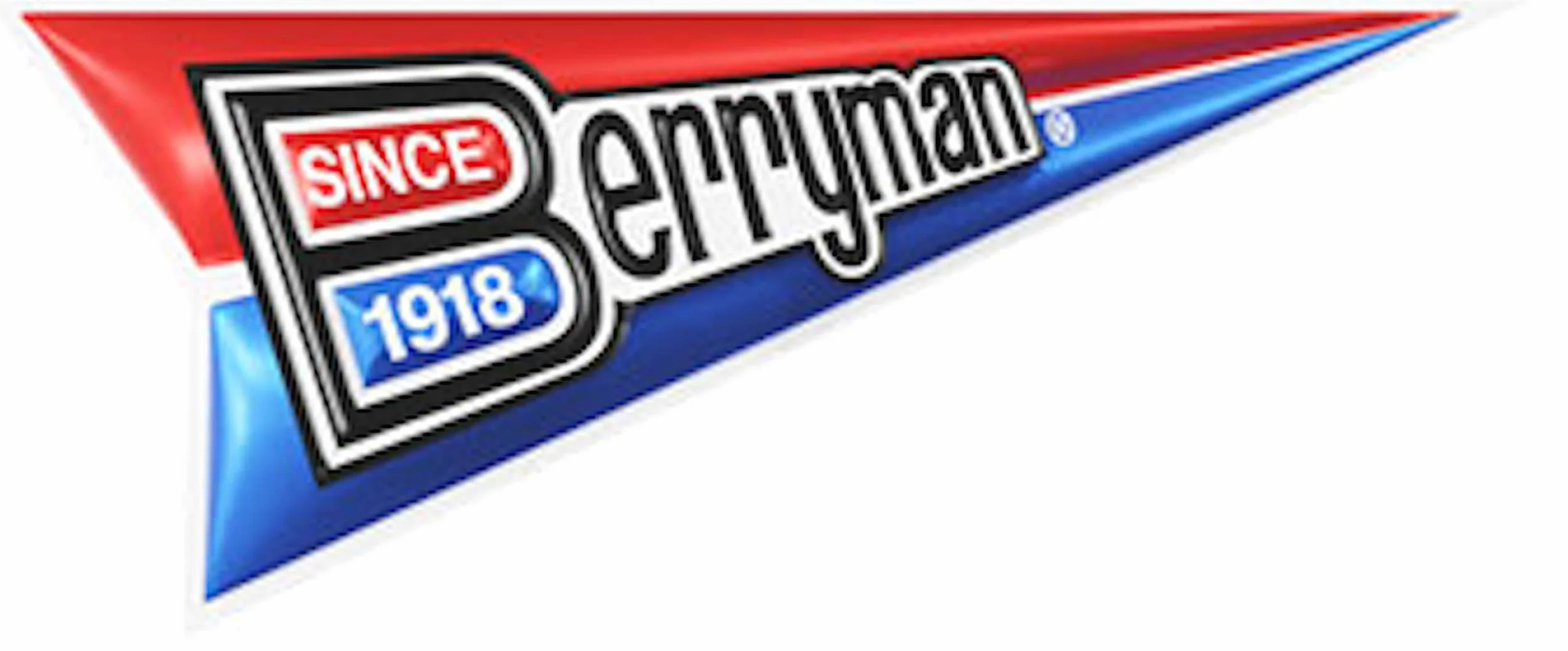 Berryman 138 Seal-r Compuesto de Sellado de los neumáticos, 8 oz Squeeze Bottle