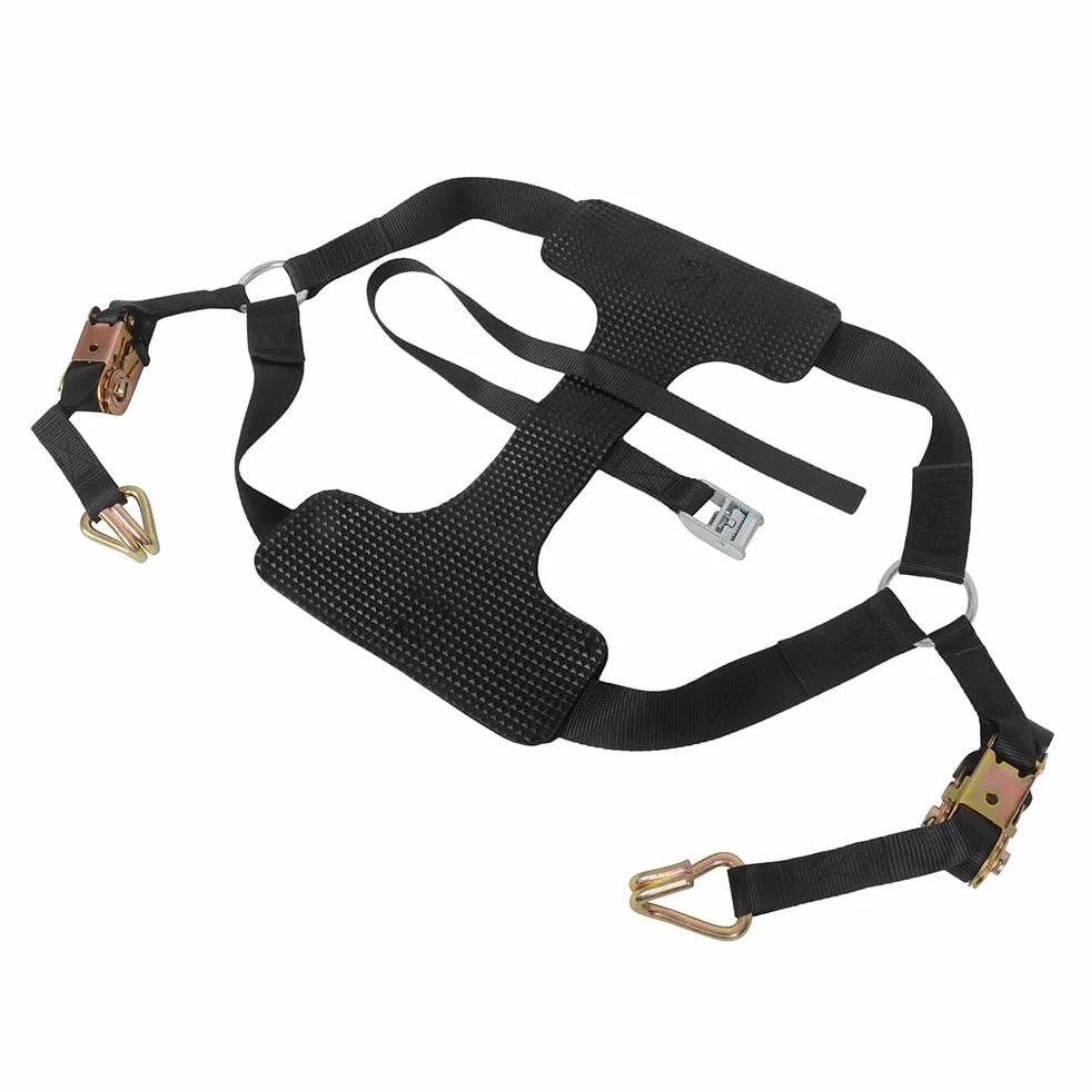 MOTO4U Correa de amarre universal para motocicleta con tensor de cinturón - Correa de amarre para rueda trasera de motocicleta en negro