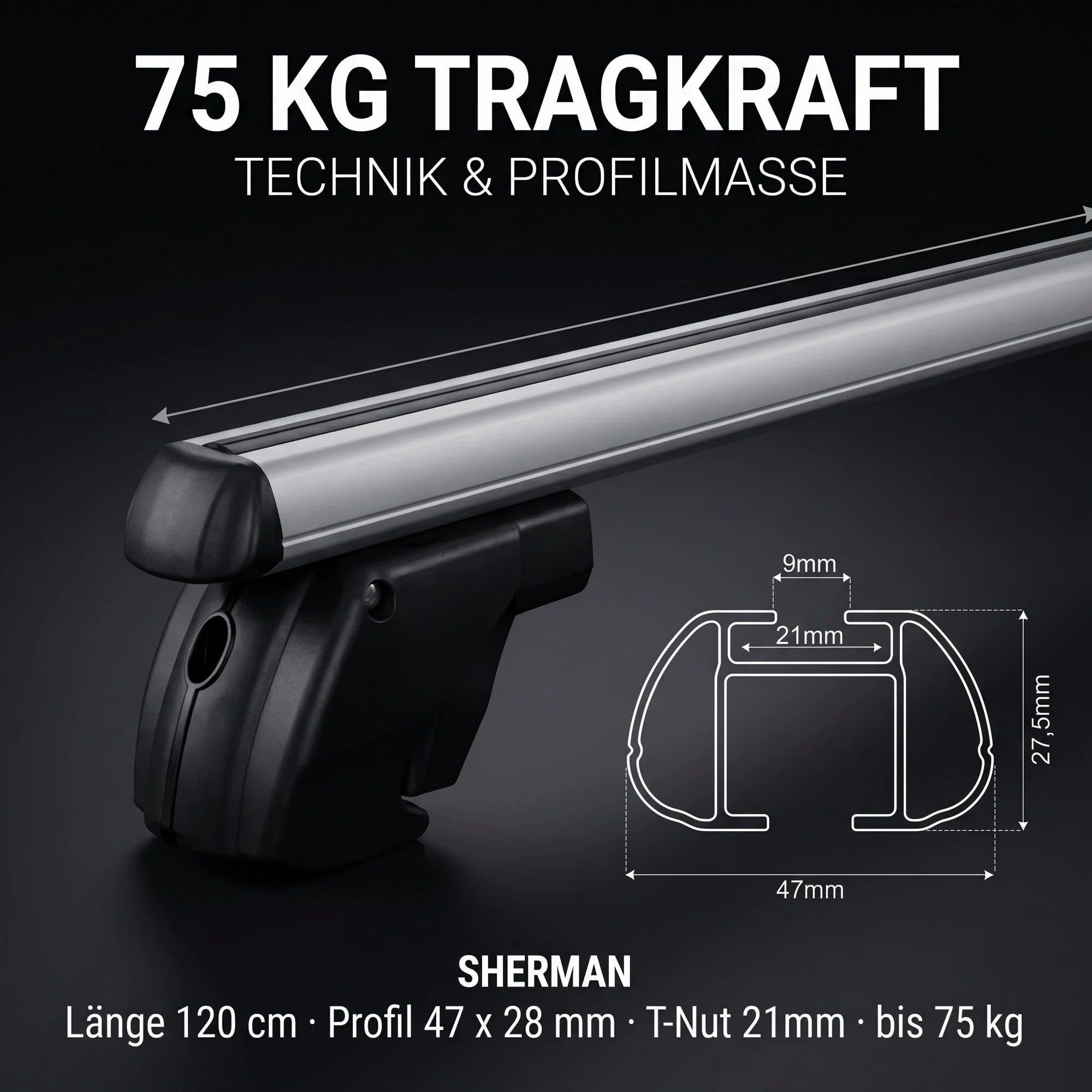 MENABO Aluminio – Barra de Seguridad para Bicicletas (Sherman 120 Dacia Dokker a Partir de 12 hasta 75 kg abschließbar