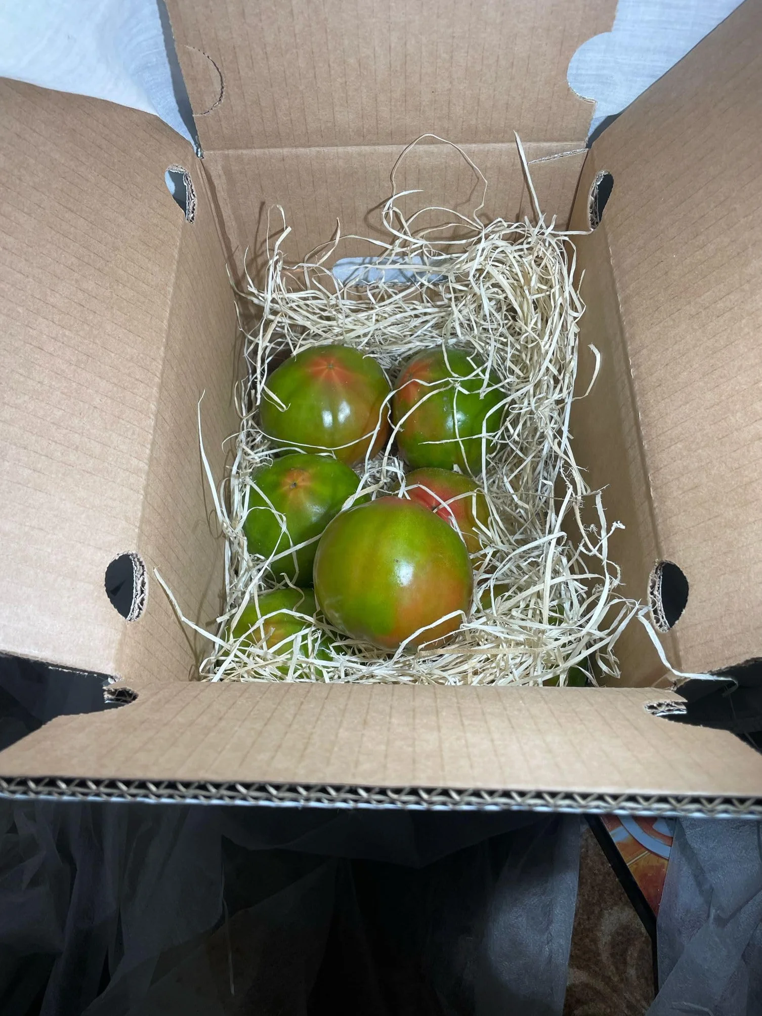 Optima Tomate Ecologico Valenciano