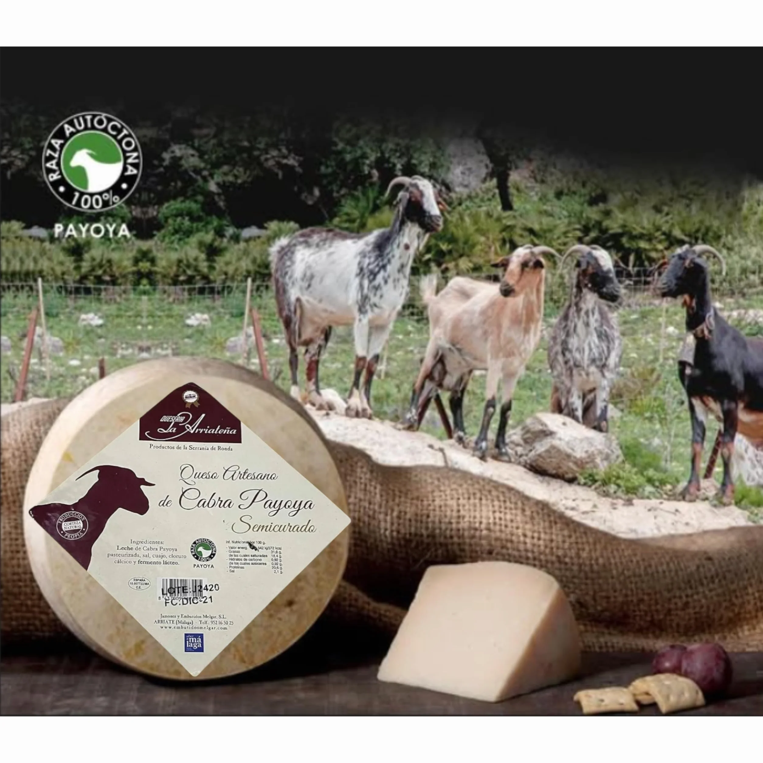 Queso Semicurado de Cabra Payoya Artesano 1.8-2 kg Sabor Intenso Cremoso