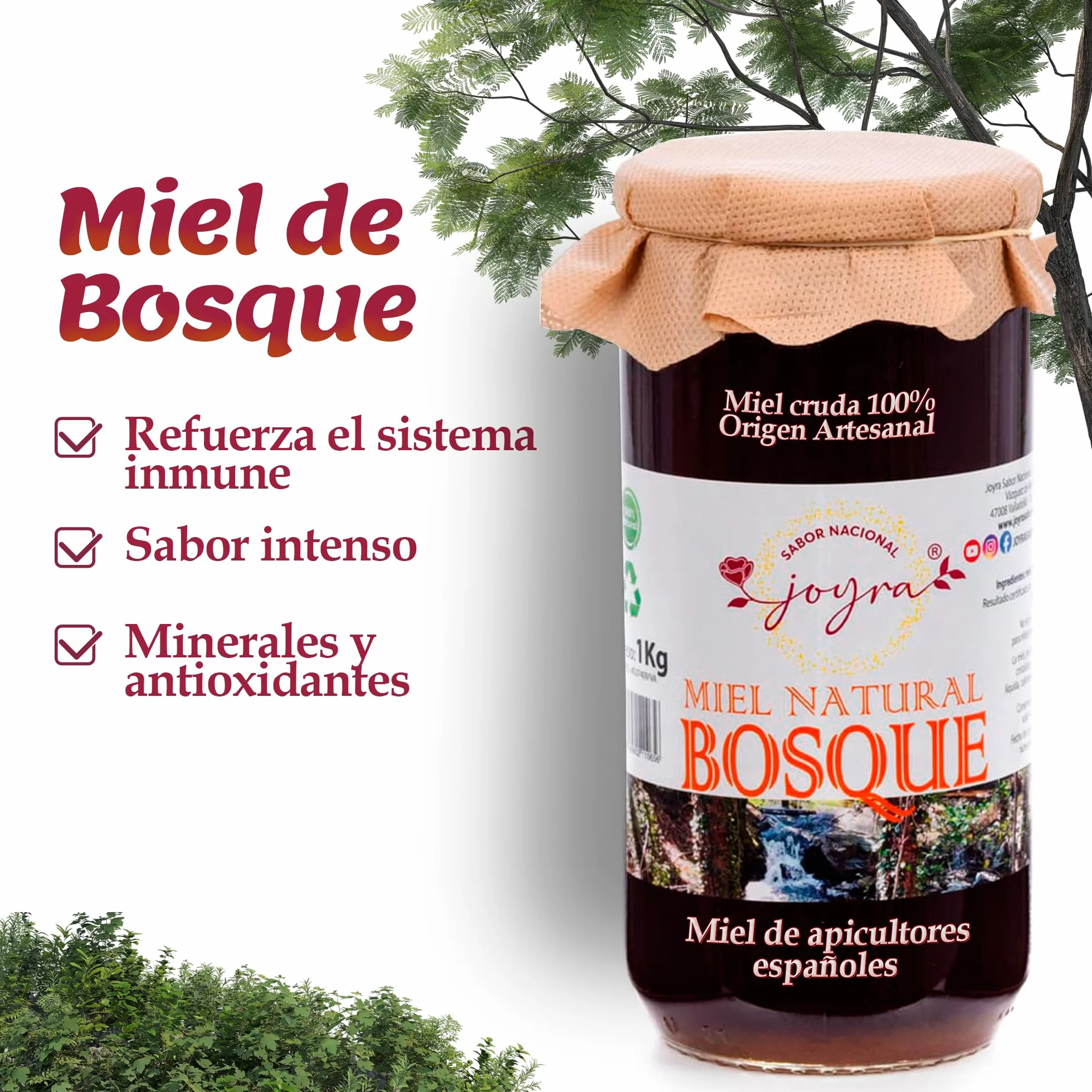 Miel Cruda 100% Pura de Abeja Natural Artesanal 27 Variedades Sabores Apicultura Española Sin Pasteurizar 1 kg Miel de Bosque