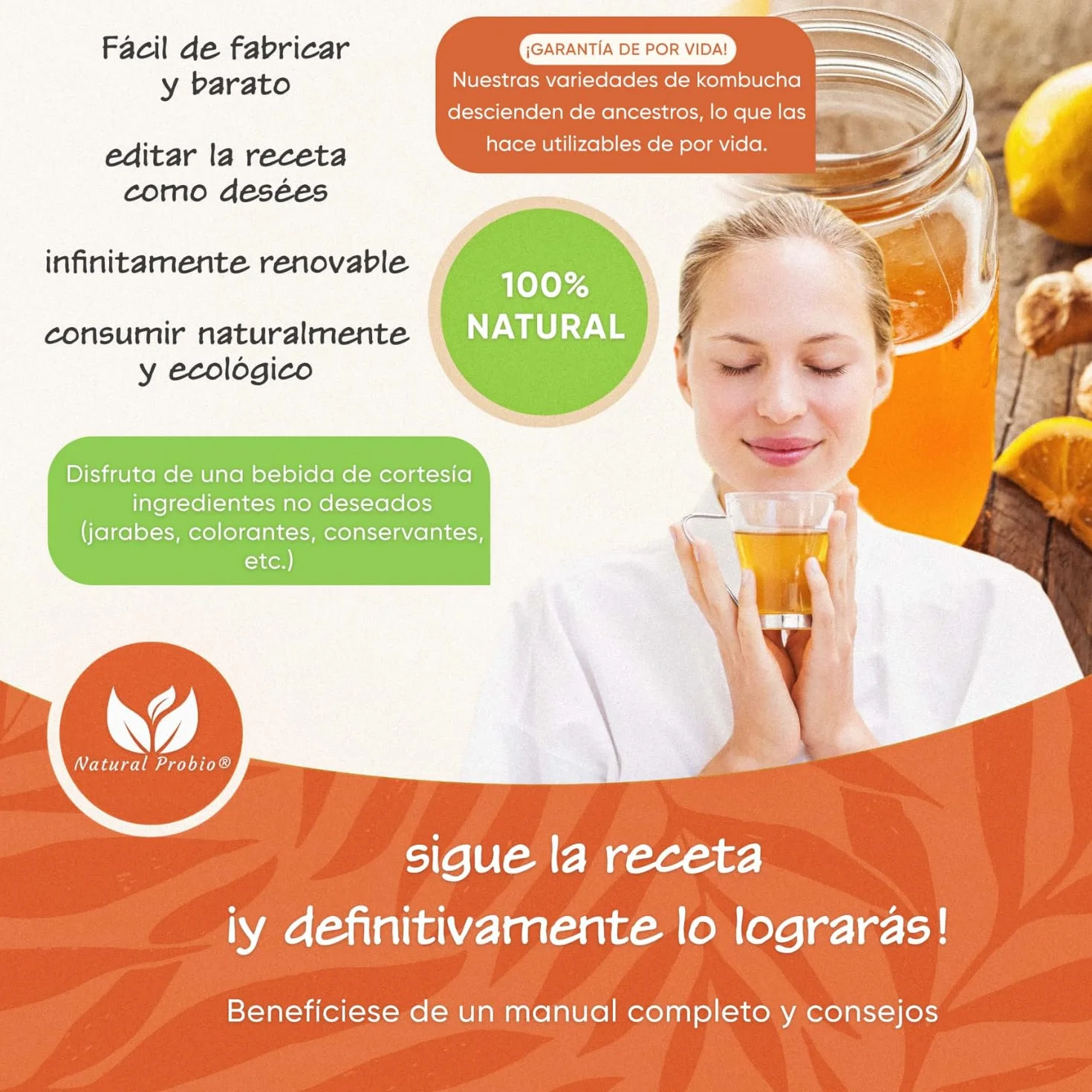 Natural Probio Original Kombucha Scoby Kit de inicio cultivo auténtica cepa madre instrucciones receta consejos