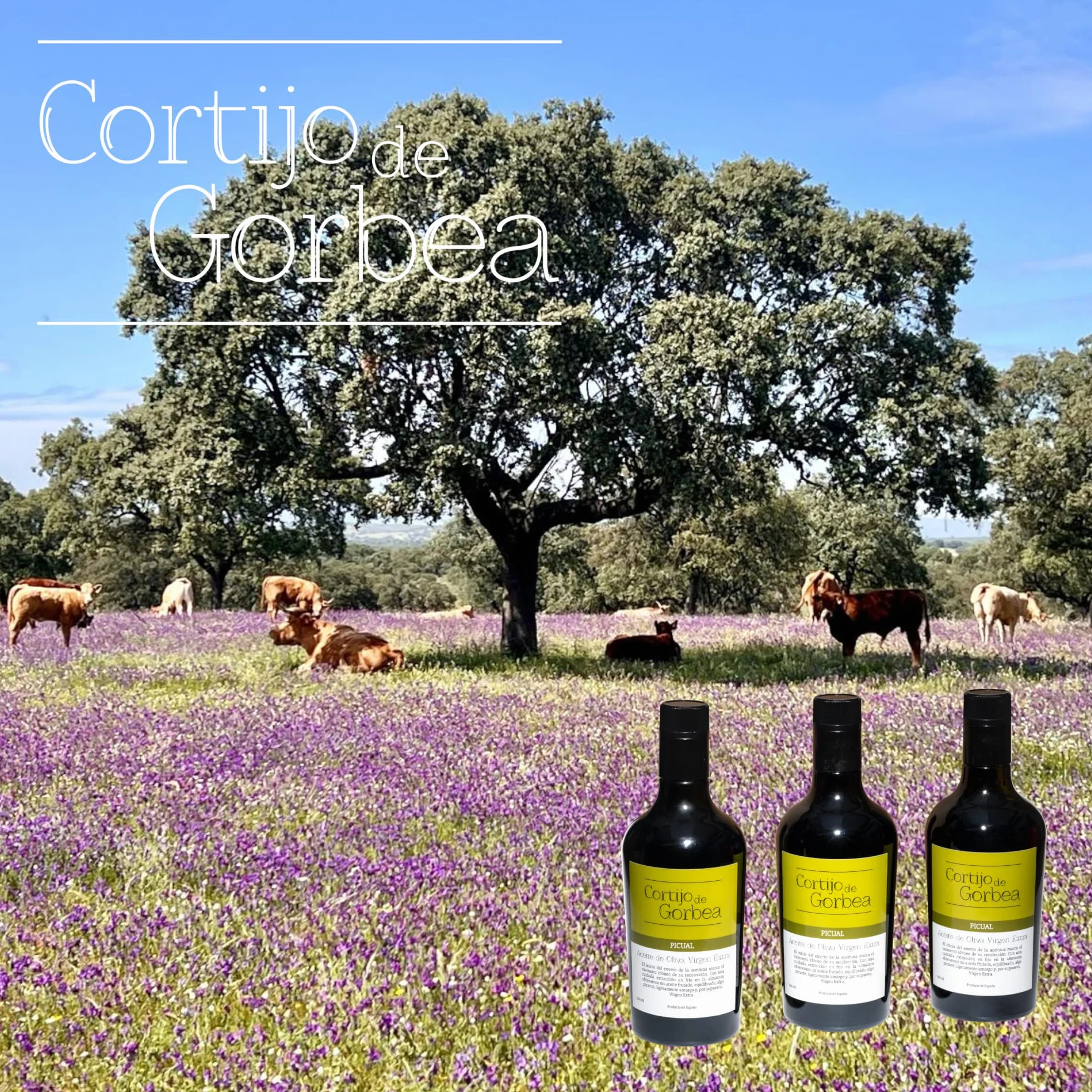 Aceite de Oliva Virgen Extra Picual Cortijo de Gorbea Pack 3 Botellas