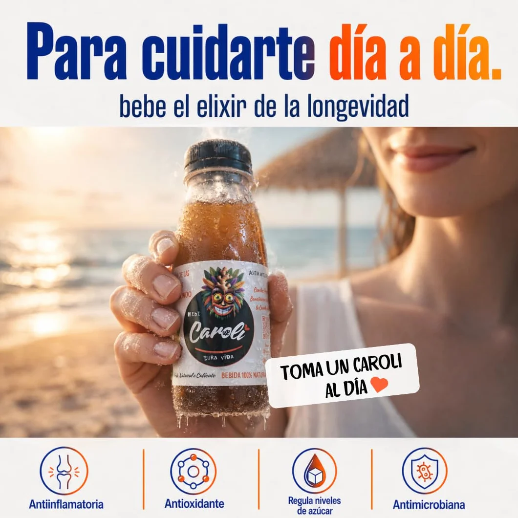 CAROLI Bebida de jengibre limón y canela Refresco natural Sin gas Sin azúcares Sin alcohol Digestiva Antiinflamatoria Antioxidante Hidratante Ginger 6x230ml