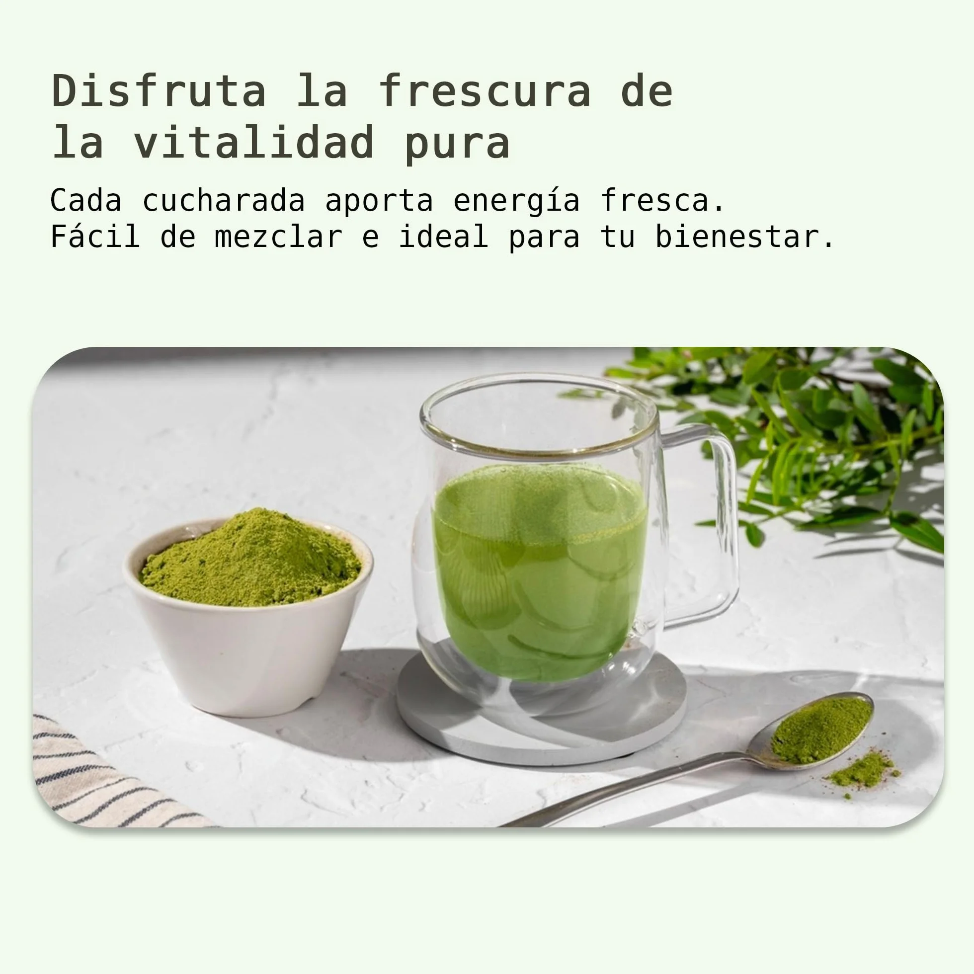 Organic Barley Grass Juice Powder 200 g Certified Premium 100% Soluble Alkaline