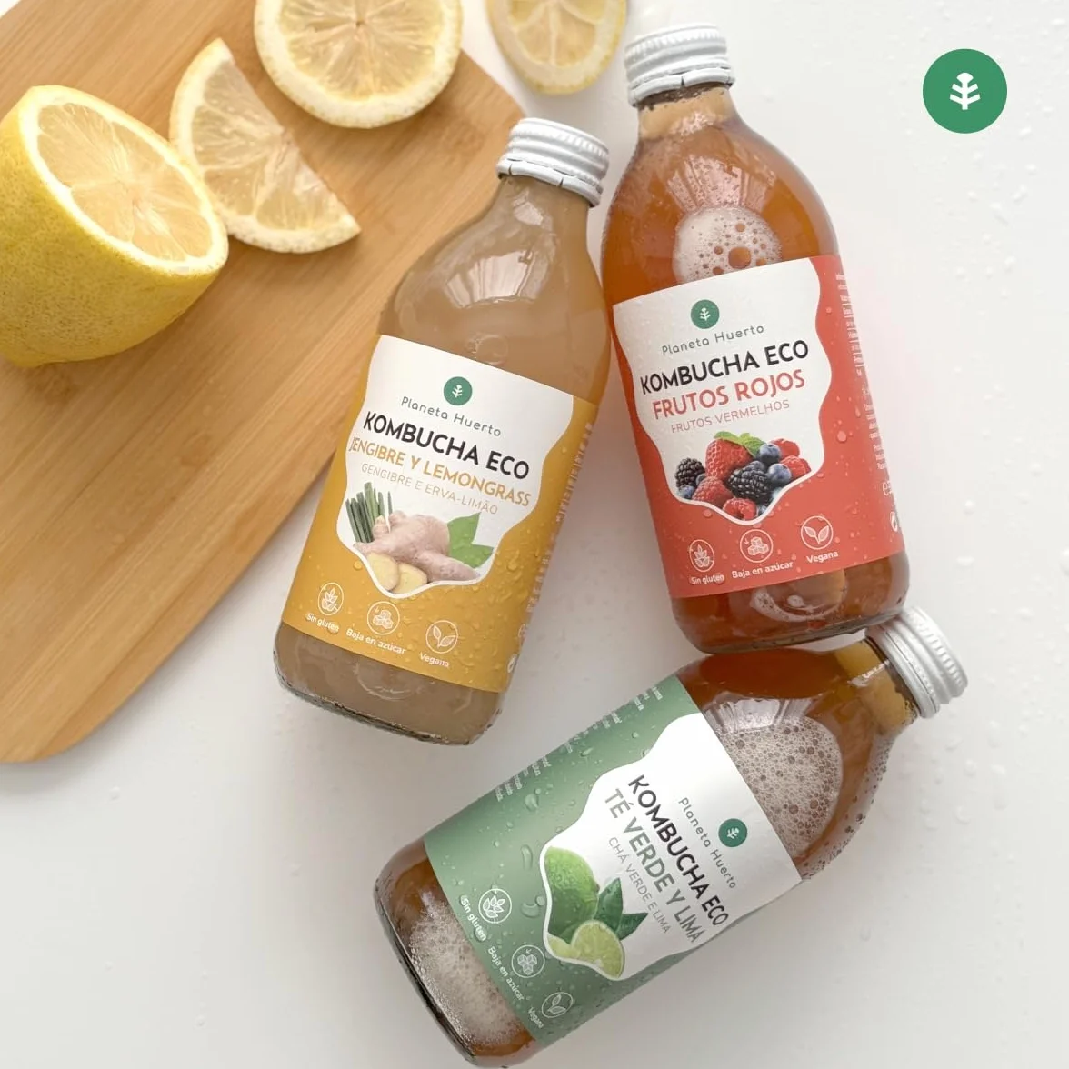 Pack 6x Kombucha ECO Jengibre y Lemongrass 330 ml