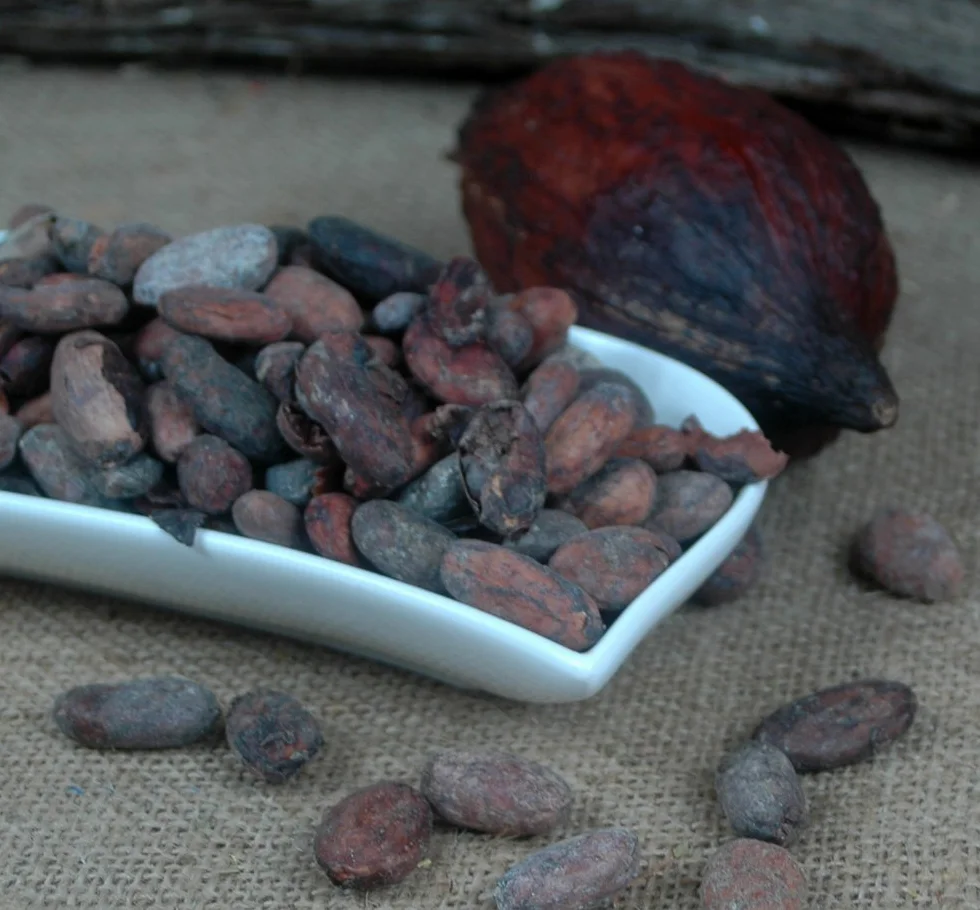 Ecuador los granos de cacao 1 Kg
