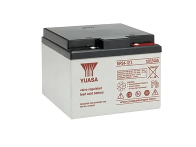 Yuasa - Batería plomo AGM NP24-12I 12V 24Ah YUASA - Batería(s)