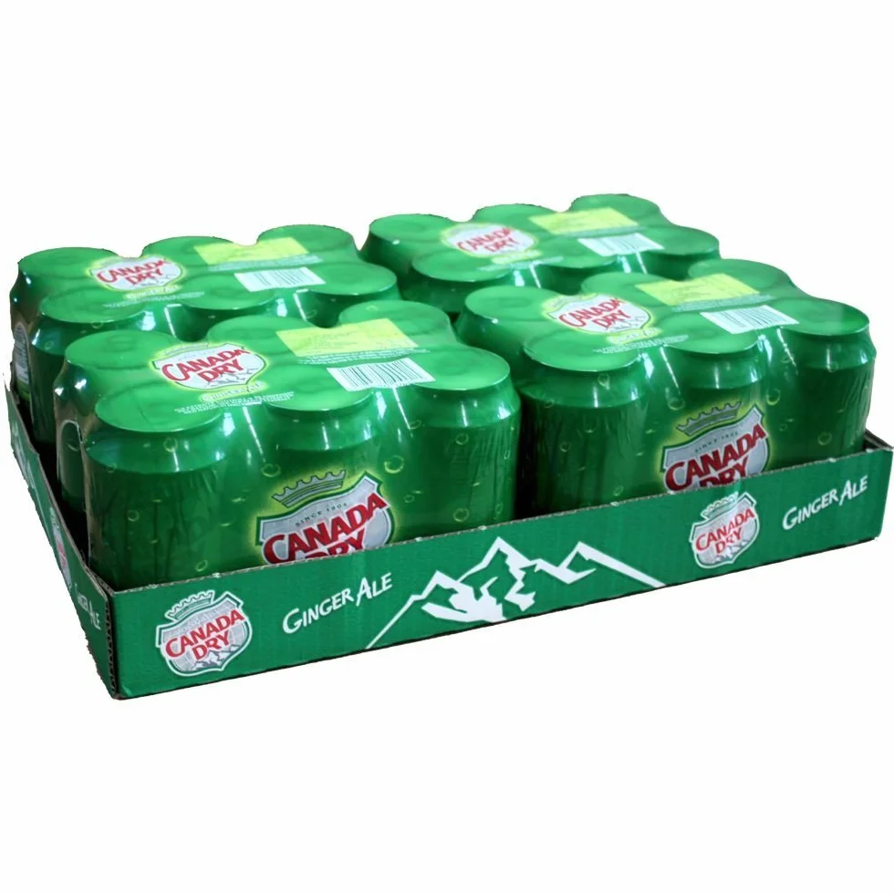 Canada Dry Ginger Ale 4 Pack de 6 x 0,33 l lata IMPORT 24 latas