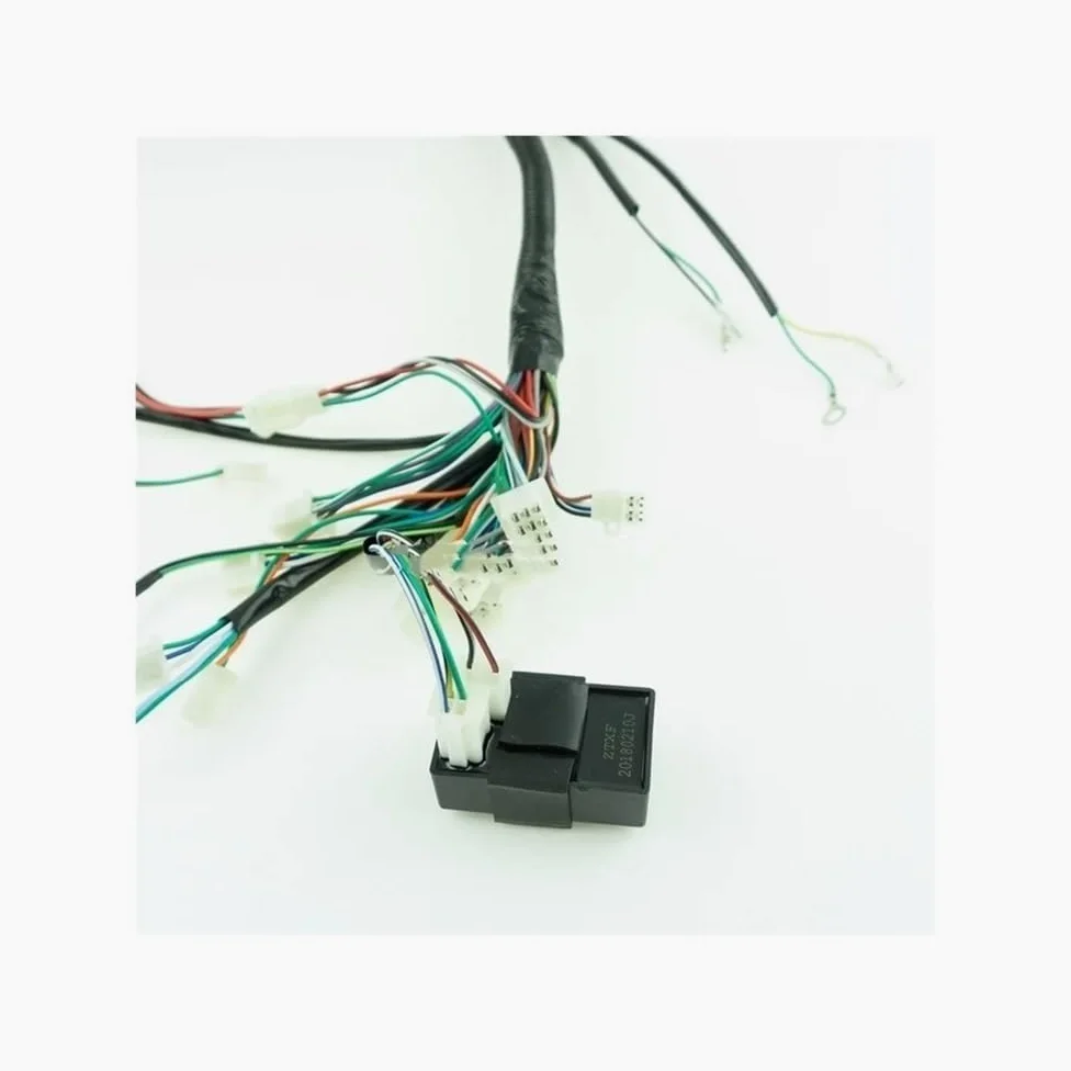 Arnés de cableado completo bobina encendido CDI para 150cc 200cc 250cc 300cc para Lifan para Zongshen para Buggy para arranque eléctrico cuádruple para motor