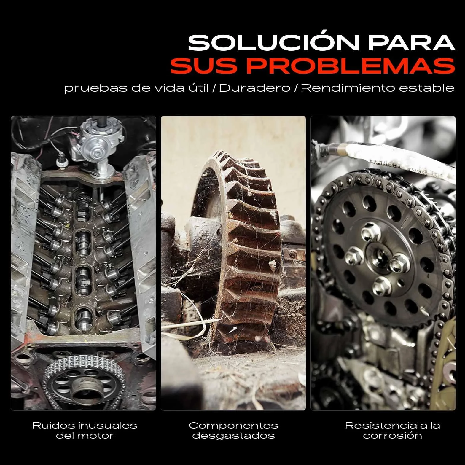 Frankberg Kit de Cadena distribución Diesel Compatible con Ducato Furgoneta 250 2.2L Mondeo III Turnier BWY 2.0L Transit Bus FB FC FD FS FZ 2.2L Boxer Bus 2.2L Jumpara Bus 2.2L Replace# TC2303K