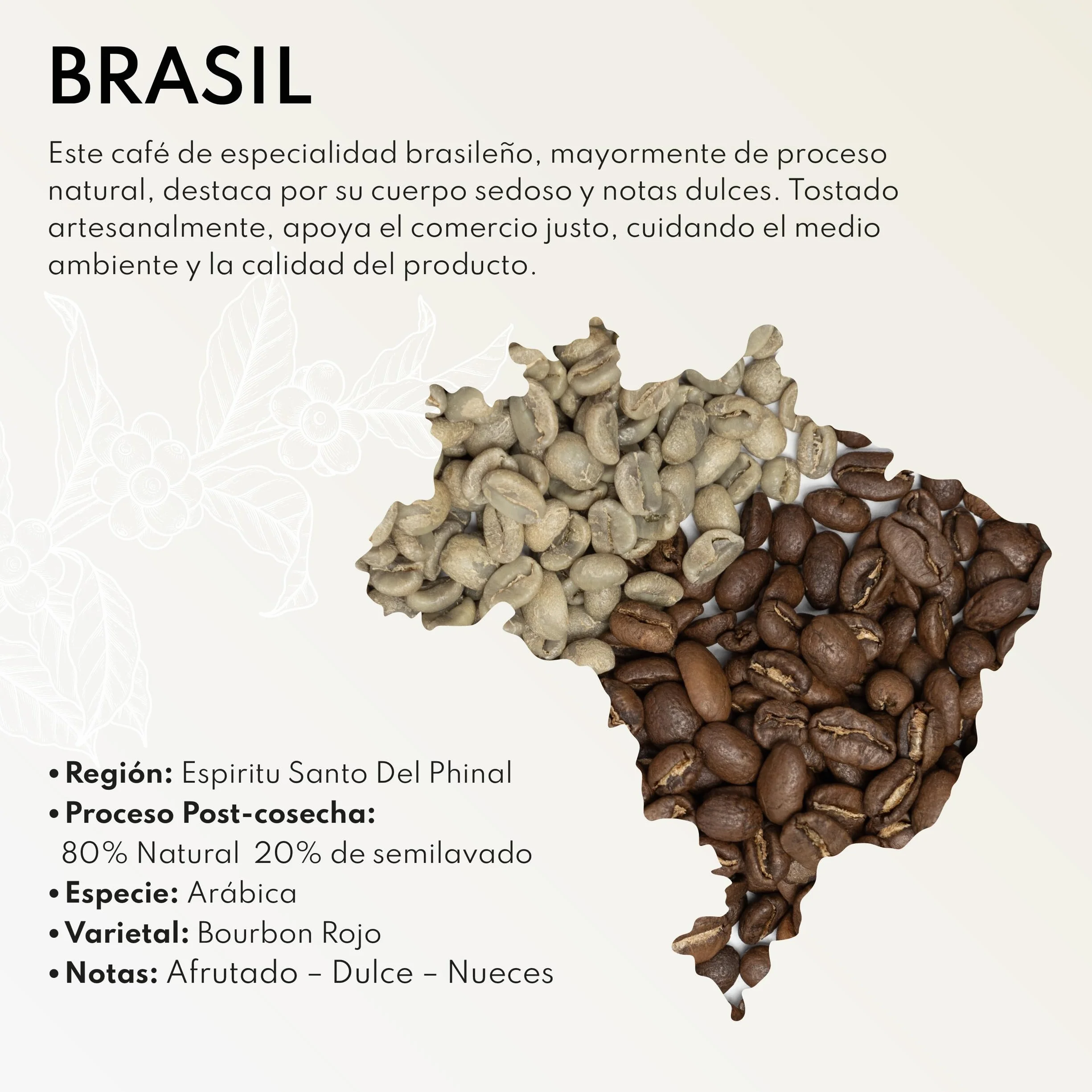 Café en grano arábica Brasil Boconó specialty coffee tueste medio 1 kg natural espresso V60 Chemex