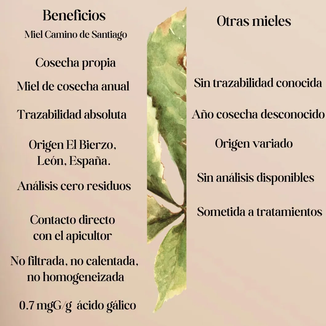 Miel Cruda Pura de Abeja 1 kg - Sin filtrar - Antioxidante - Sales Minerales