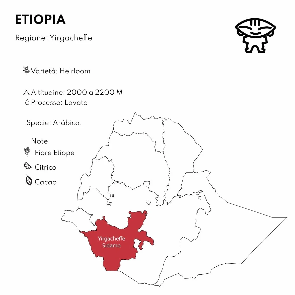 Café de especialidad en grano de Etiopia Boconó Arábica Tueste Natural 1 kg