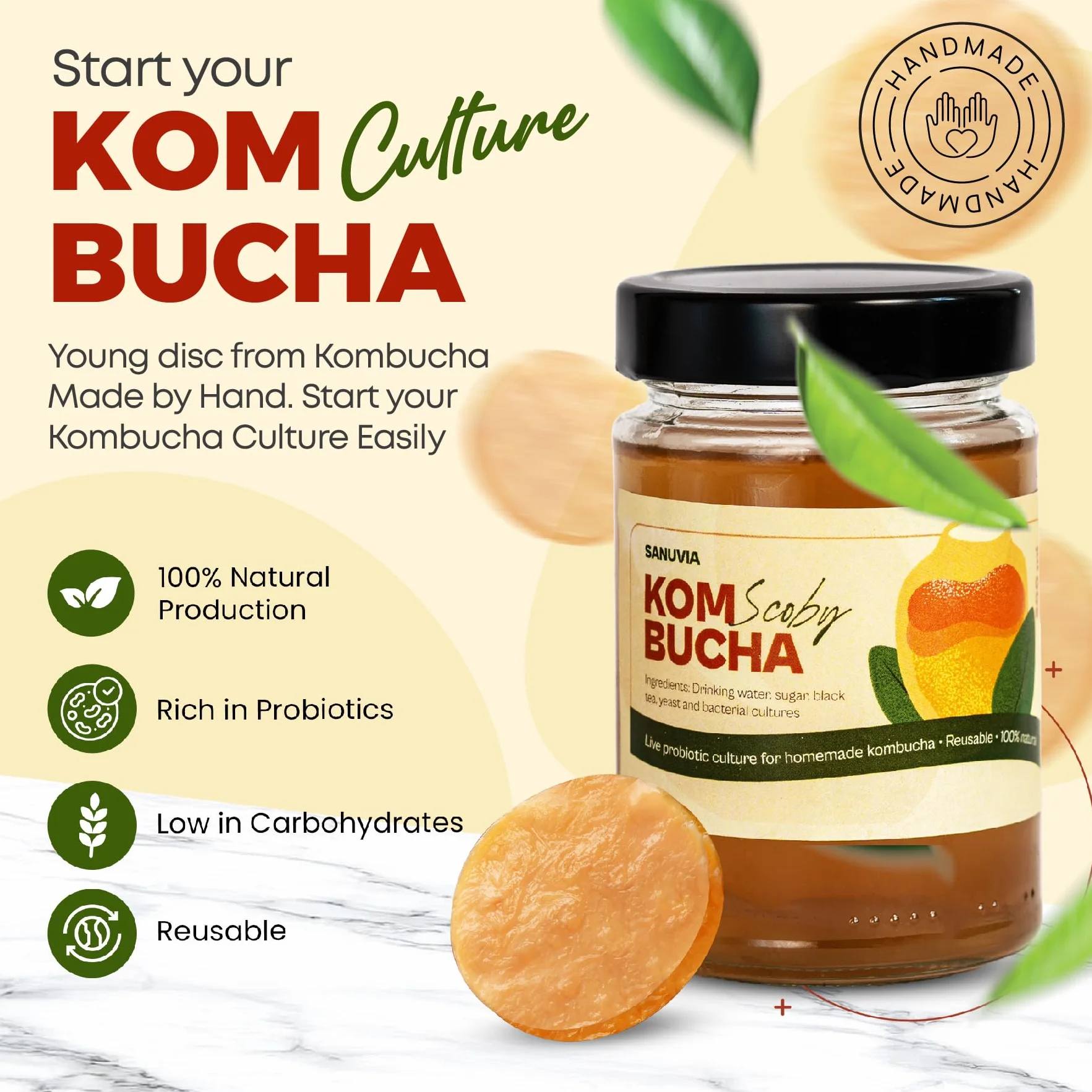 SANUVIA Kombucha SCOBY Starter Culture – Hongo de té con 300 ml de té iniciador en frasco de vidrio – Vegano, cultivo vivo, reutilizable