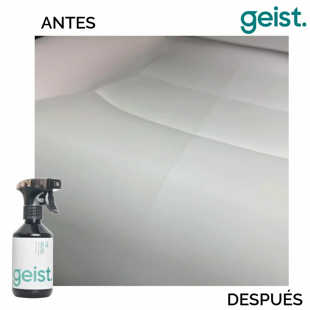Geist. 3 Plus Care Kit para Cuero y Vinilo | Limpia, Protege contra la Transferencia de Tinte y daños por fricción, Evita Que el Cuero encoja y se agriete | para Piel a Partir de 3 años y Polipiel