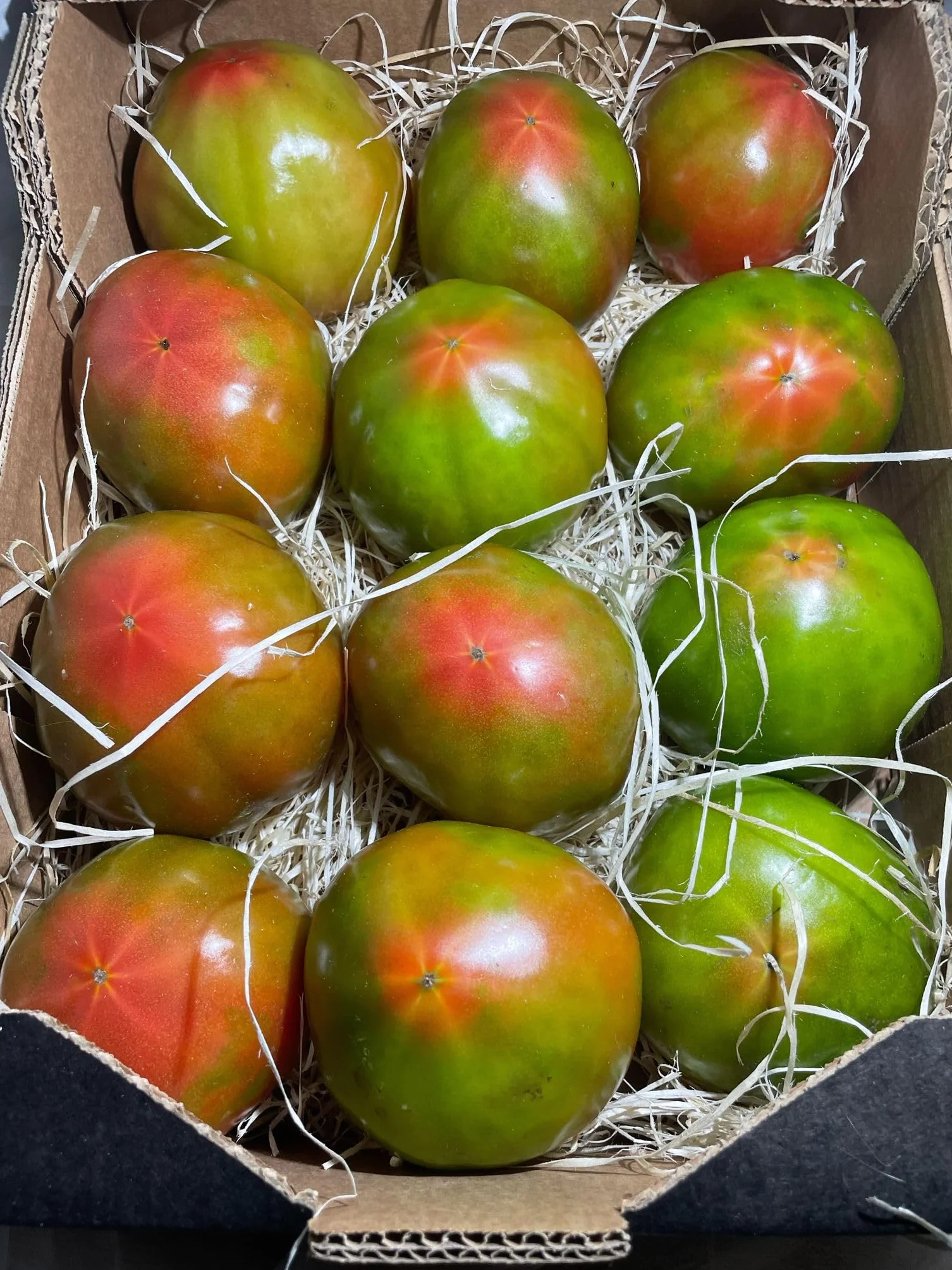 Optima Tomate Ecologico Valenciano