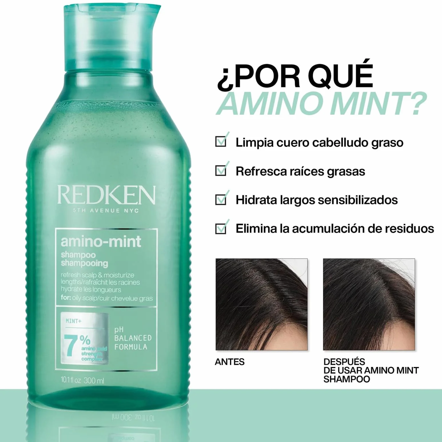 Redken Champú de Menta Anti Grasa 300 ml