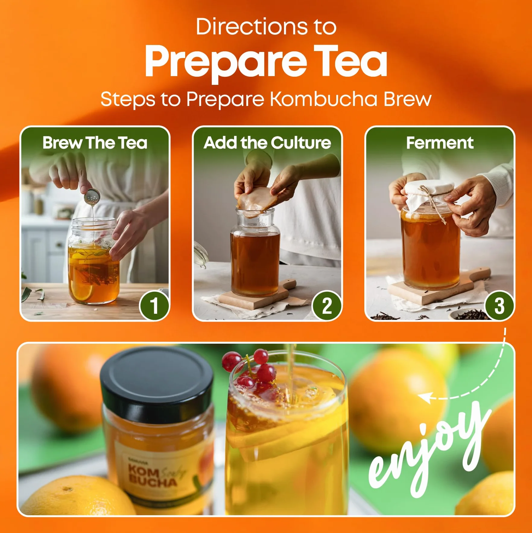 SANUVIA Kombucha SCOBY Starter Culture – Hongo de té con 300 ml de té iniciador en frasco de vidrio – Vegano, cultivo vivo, reutilizable