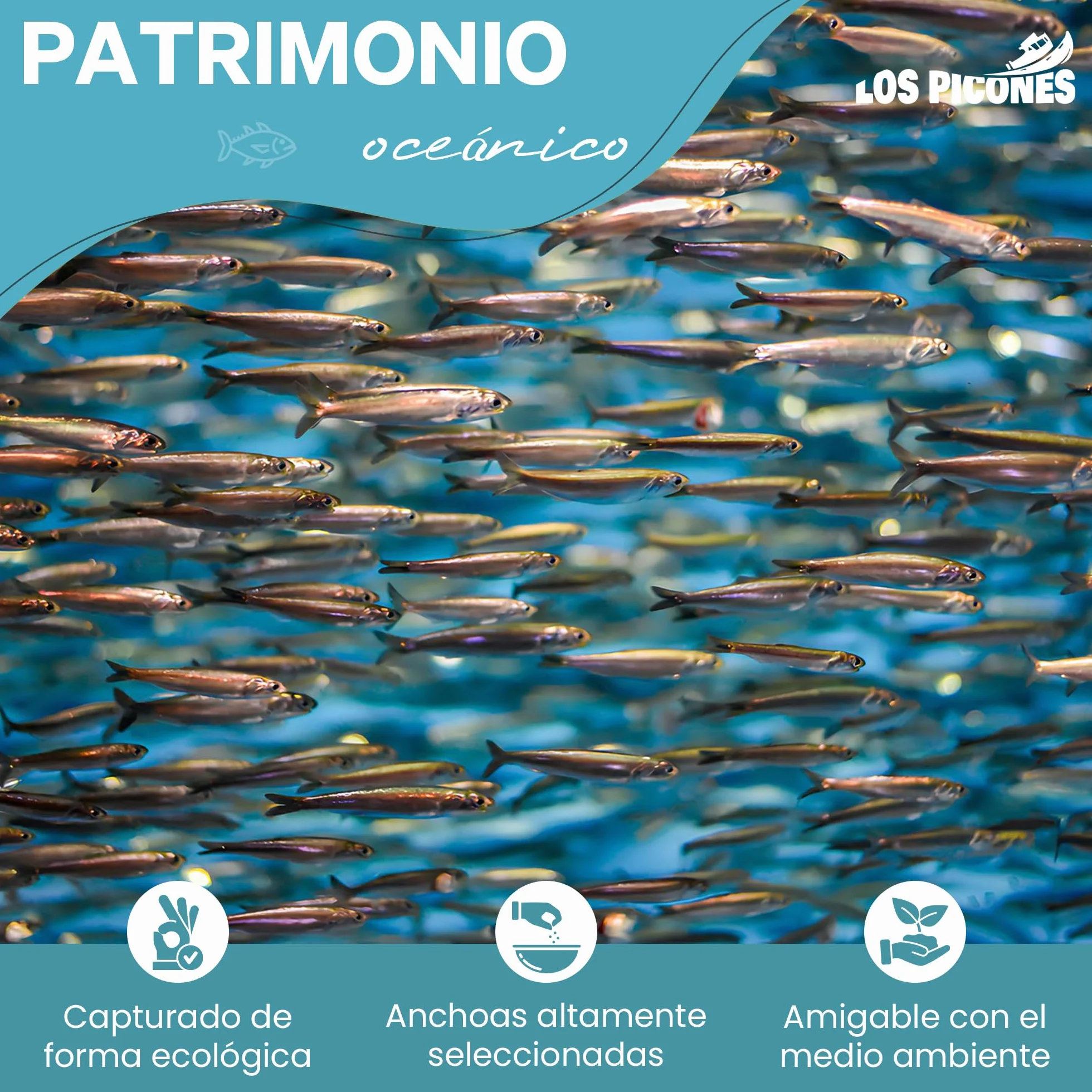 Anchoas Revilla Crema de Anchoas en Mantequilla Pack 4 Latas 180 gr Sabor Intenso Cocina Mediterránea Tapas Españolas