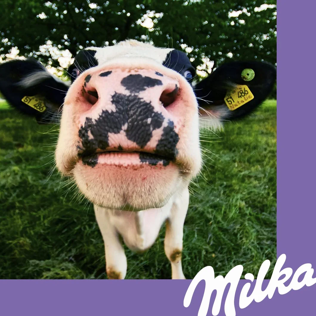 Milka Choco Brownie Bizcocho de Chocolate con Leche 50 g