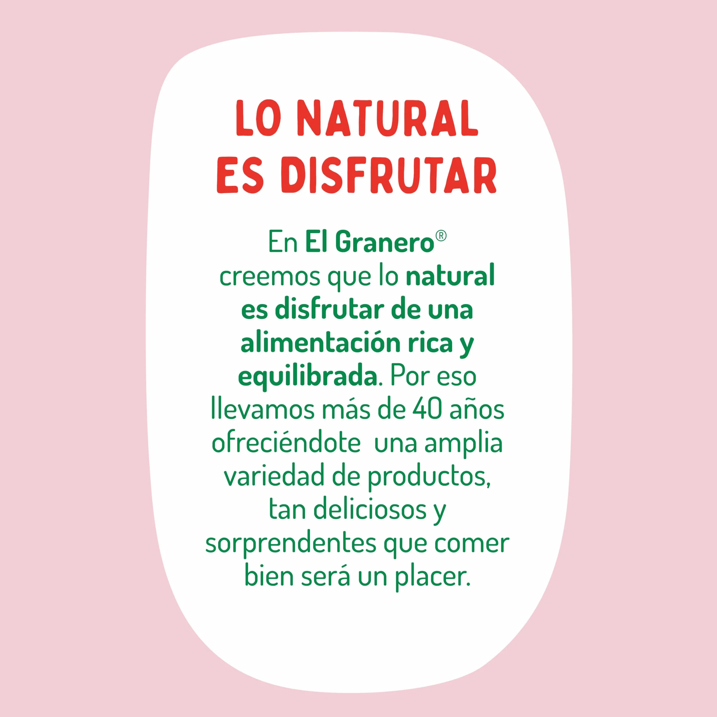 Espaguetis de Arroz Integral BIO El Granero Integral 500 g Sin Gluten Vegano