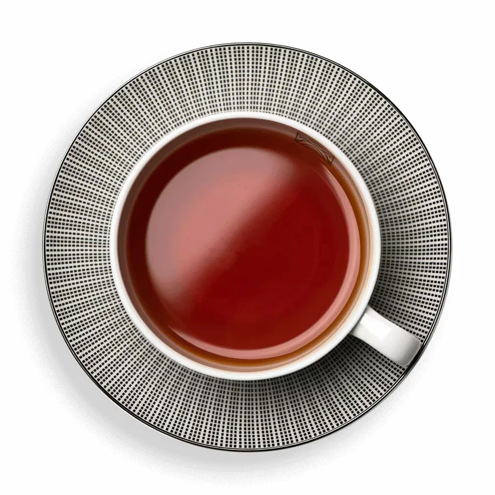 Dammann Rooibos citrus 25 zakjes zonder cafeína