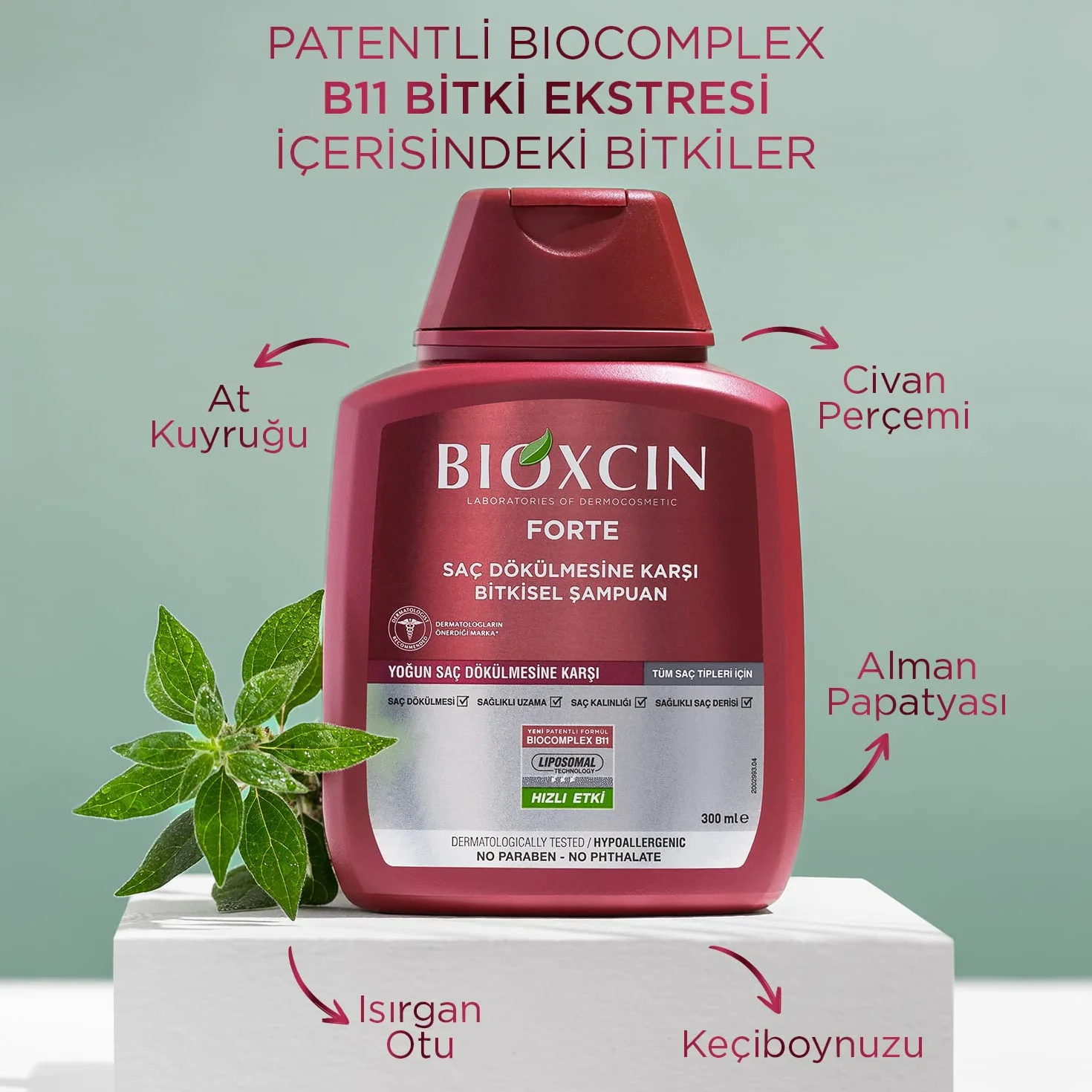 BIOXCIN FORTE Champú contra la caída del cabello, con Bio Complex B11, crecimiento más fuerte