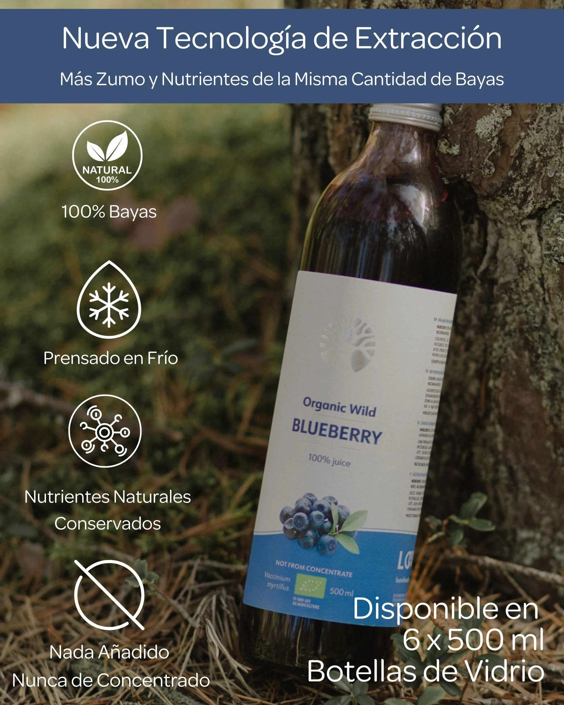 LOOV Zumo de arándanos silvestres ecológicos 100% puro prensado en frío 6 x 500 ml