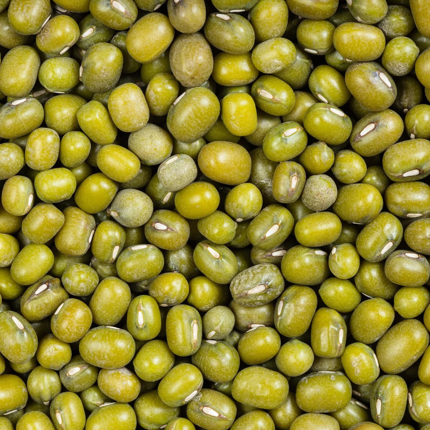 Raitip Frijoles Mungo 500 g