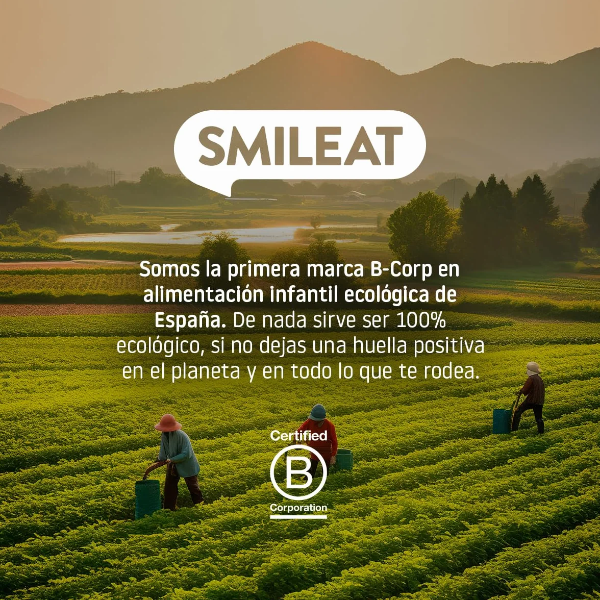 Smileat Platito de Macarrones con Verduras de la Huerta Ecológico 200g
