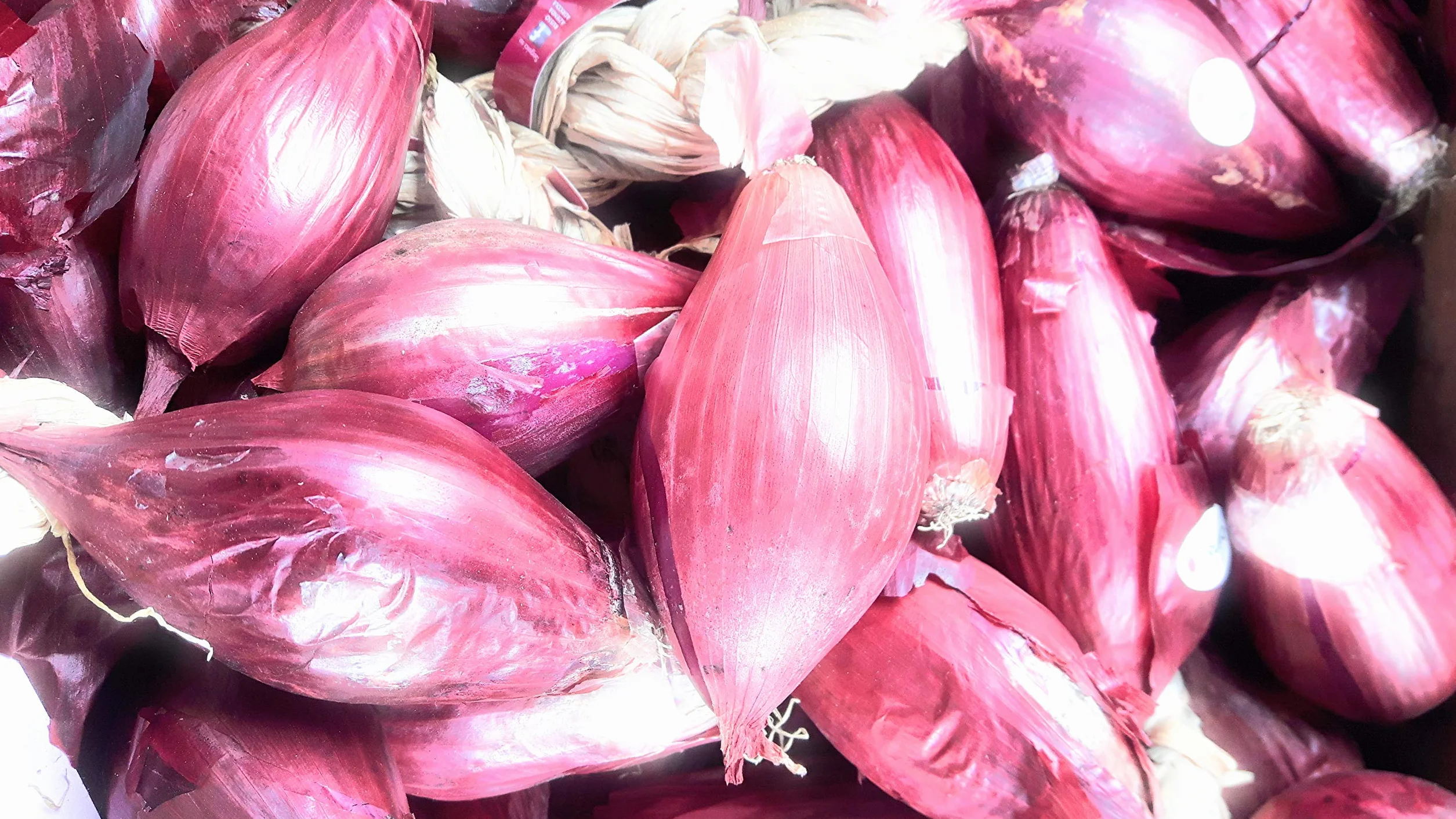 Cebollas de Tropea 2,5 kg
