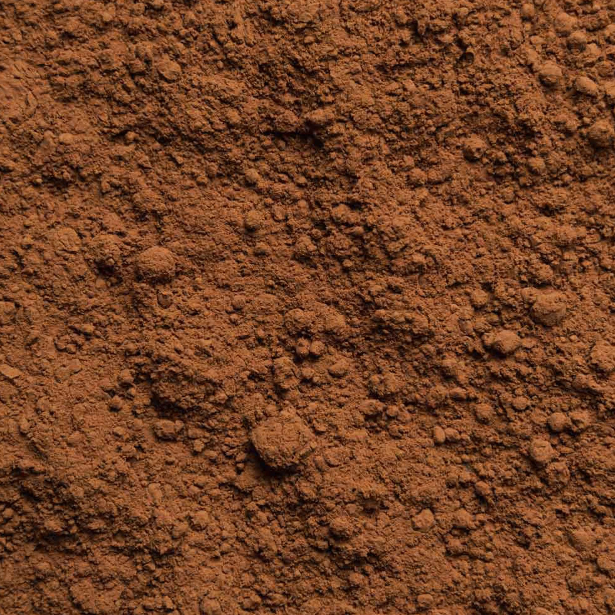 Biotiva Polvo de cacao orgánico 300 g altamente desengrasado 11% grasa sin azúcar sin aditivos