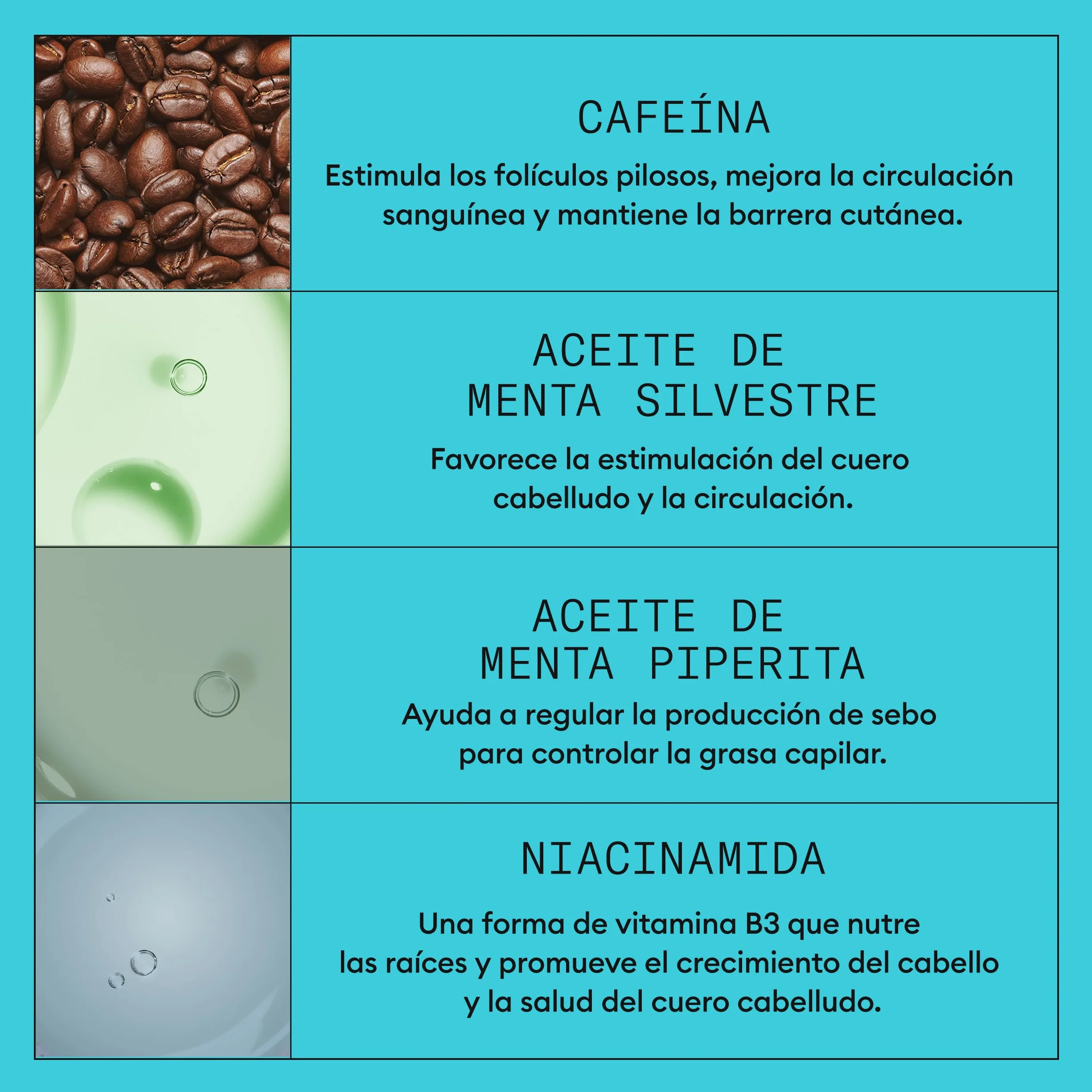 Nioxin Sistema 3 Champú Acondicionador Tratamiento Cabello Teñido Dañado Debilitamiento Leve