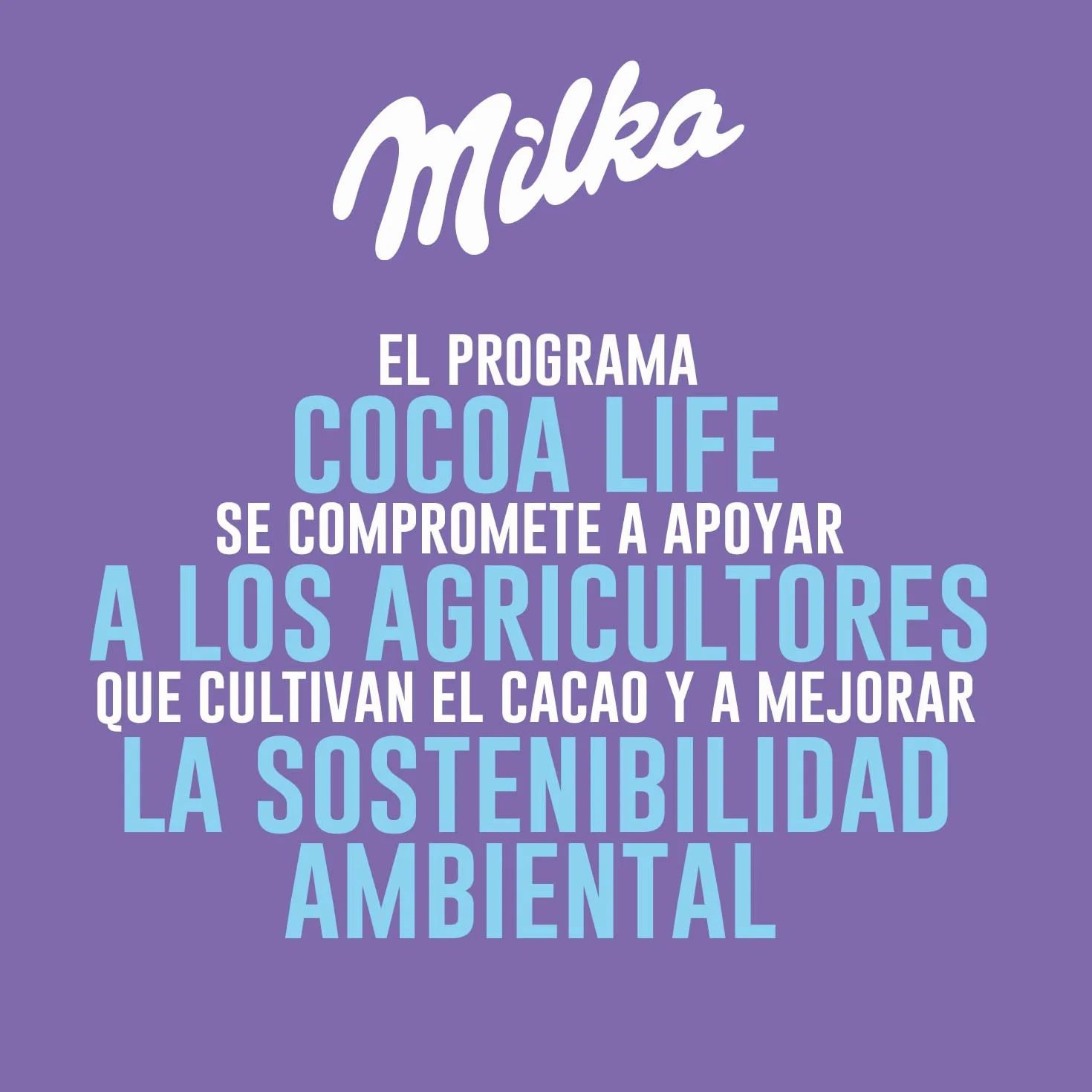 Milka Choco Brownie Bizcocho de Chocolate con Leche 50 g