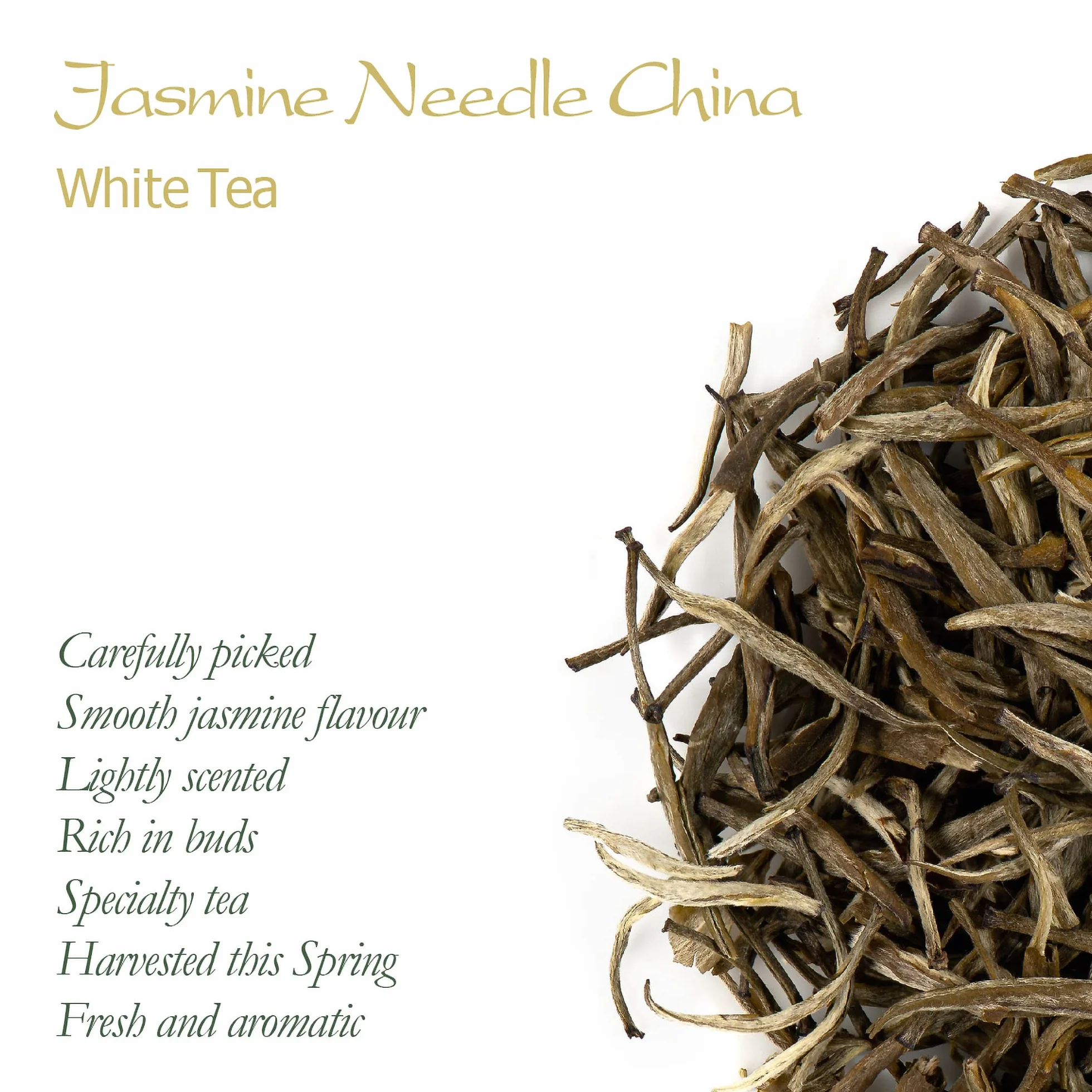 Té blanco aguja de plata con jazmín Moli Yinzhen