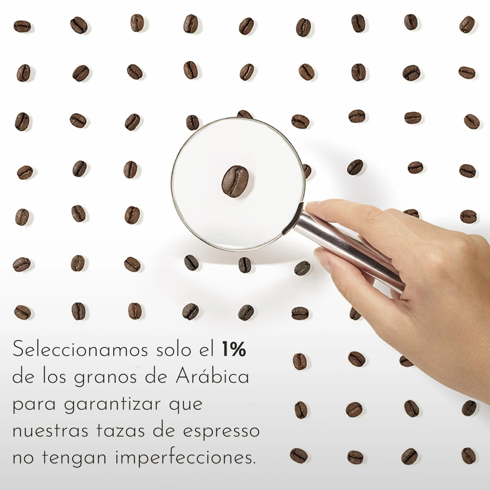 illy Café en Grano Arabica Selection Etiopía 100% Arábica 1 lata 250g