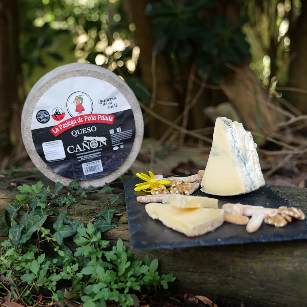Queso Cañón PACK 2 Cuñas 300 g Al vacío Suave Mantecoso Cremoso Ceniza Vegetal