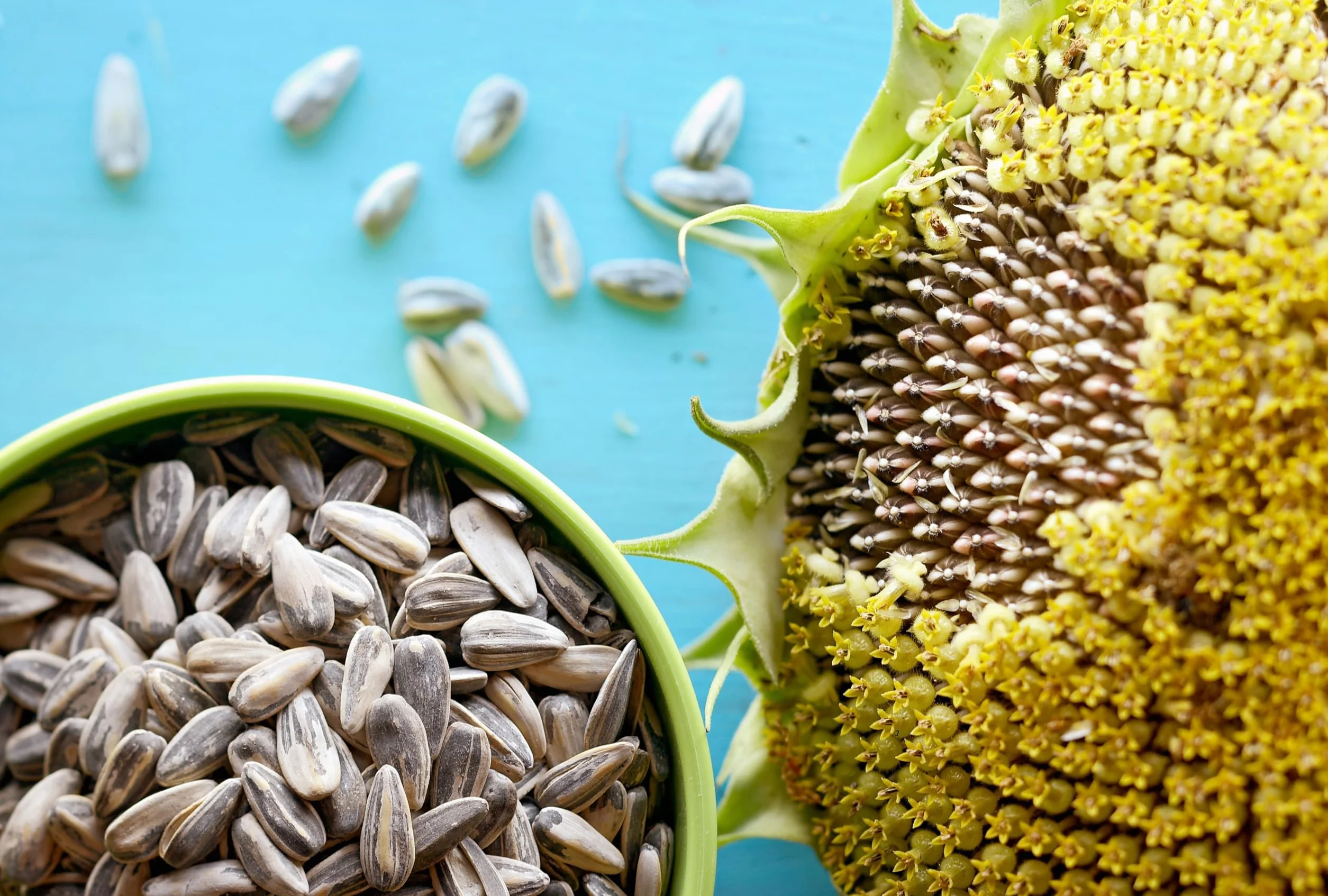 Pipas de girasol Dakota en salmuera 250g