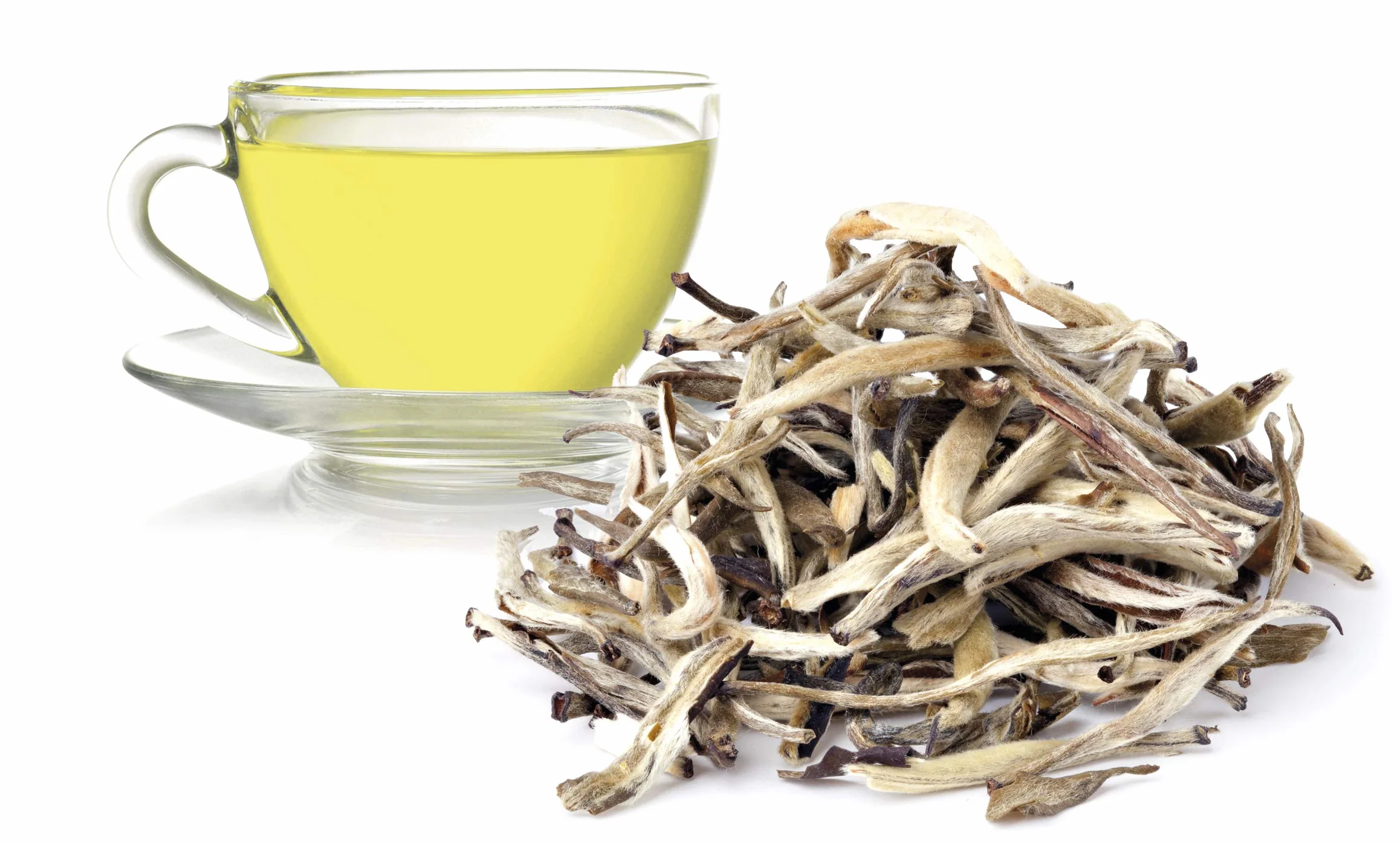 Té Blanco en Caja de 25 Unidades - Propiedades Antioxidantes Naturales - Aporta Vitaminas y Minerales