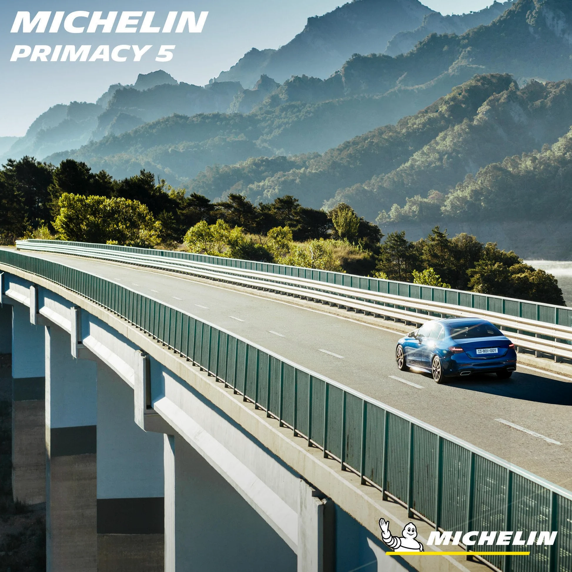 Neumático Verano Michelin PRIMACY 5 225/45R17 91Y