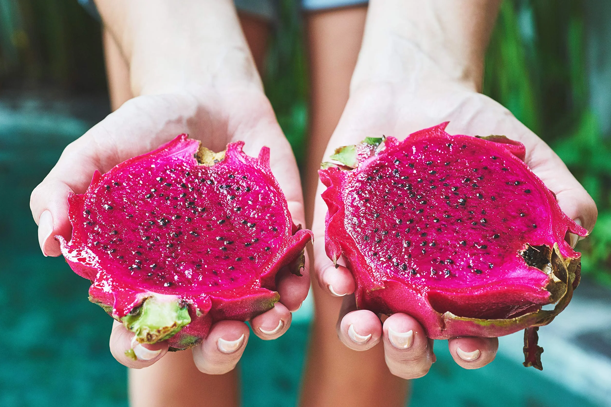 Pink Pitaya Polvo liofilizado de pitahaya roja Vegano Sin gluten Colorante alimentario rosa natural 50g