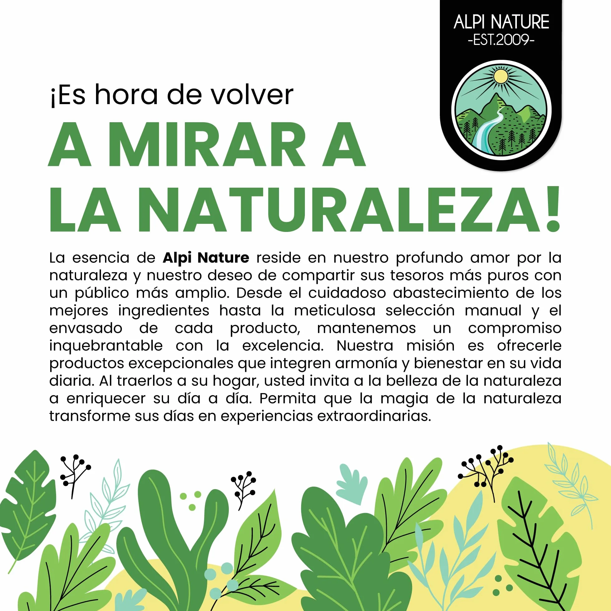 Alpi Nature Frijoles Mungo Orgánicos 500g, Frijoles Verdes Enteros sin Gluten